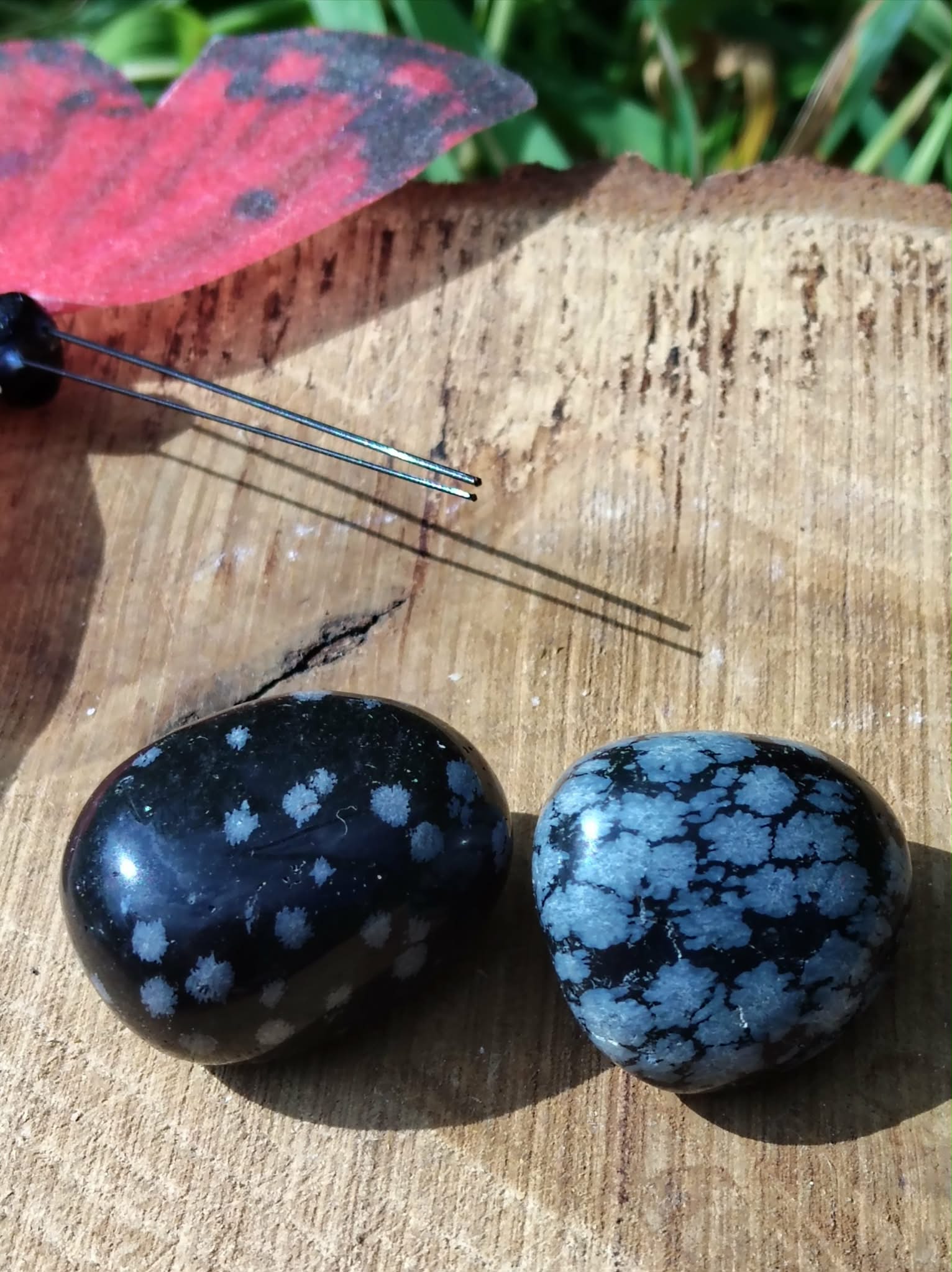 Deux pierres roulées d’obsidienne neige noir moucheté blanc sur tranche de bois en extérieur avec herbes vertes et pierre violette, pierres naturelles liées à la maîtrise émotionnelle, à la stabilité et à la tranquillité.