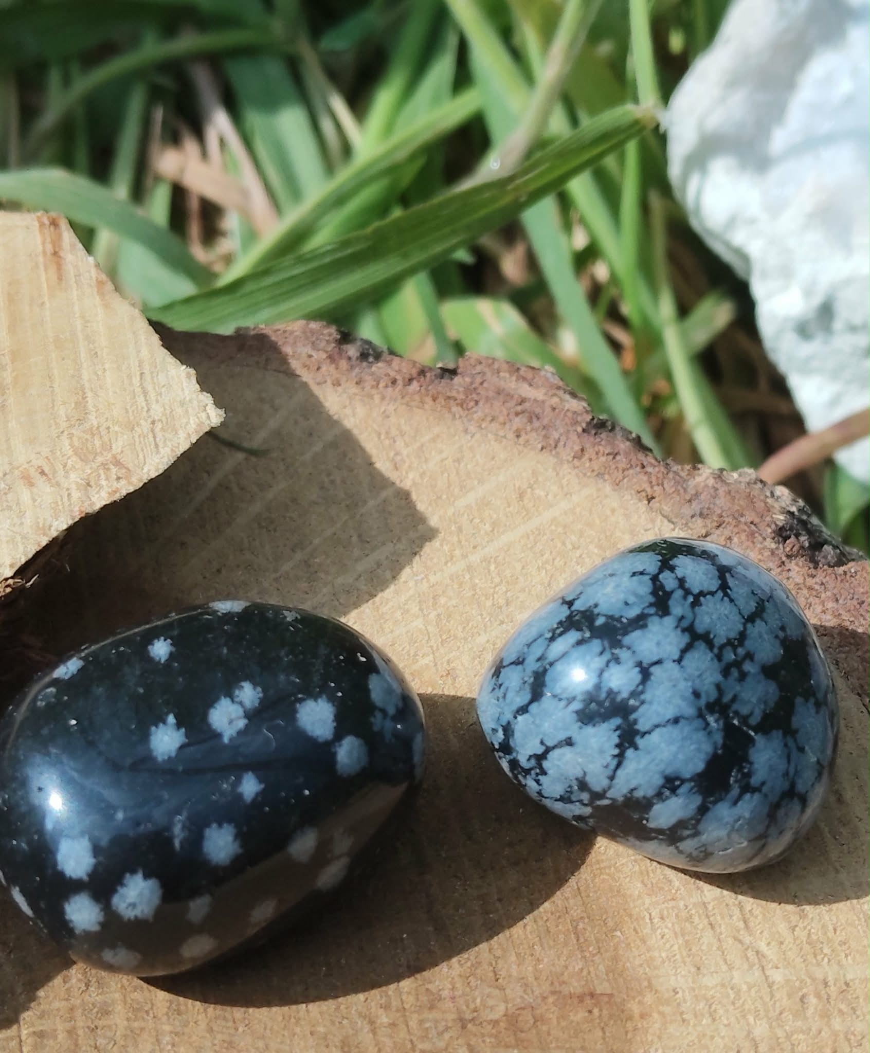 Obsidienne neige roulée, deux pierres polies noir profond à taches blanches sur tranche de bois en extérieur près d’herbe verte, pierres naturelles associées à l’ancrage, à la stabilité et au calme intérieur.