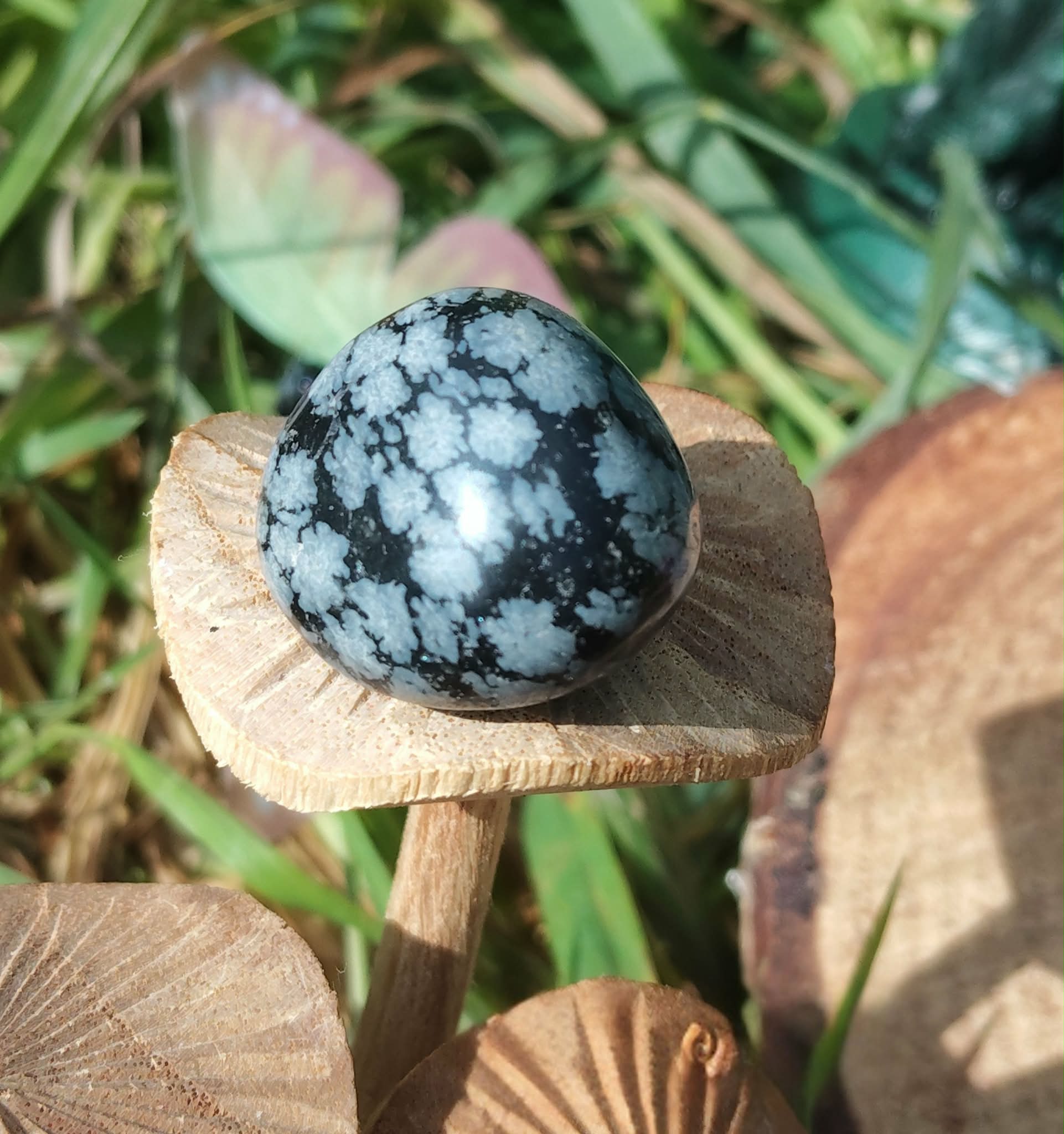 Pierre roulée d’obsidienne neige noir profond à motifs blancs floconnés, posée sur tranche de bois en extérieur avec herbes vertes, pierre naturelle associée à la sérénité, à la présence à soi et à l’ancrage.