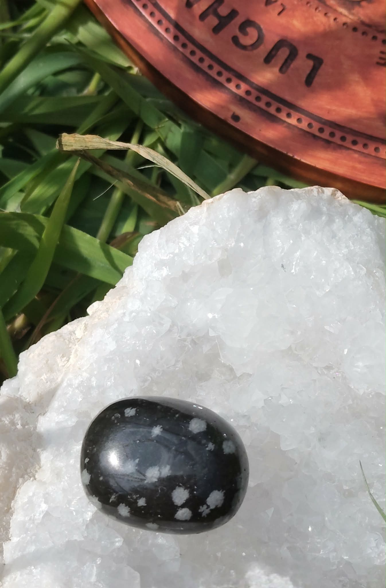 Pierre roulée d’obsidienne neige noire mouchetée sur support clair avec herbes, pierre naturelle évoquant la protection subtile, le recentrage et la paix intérieure.