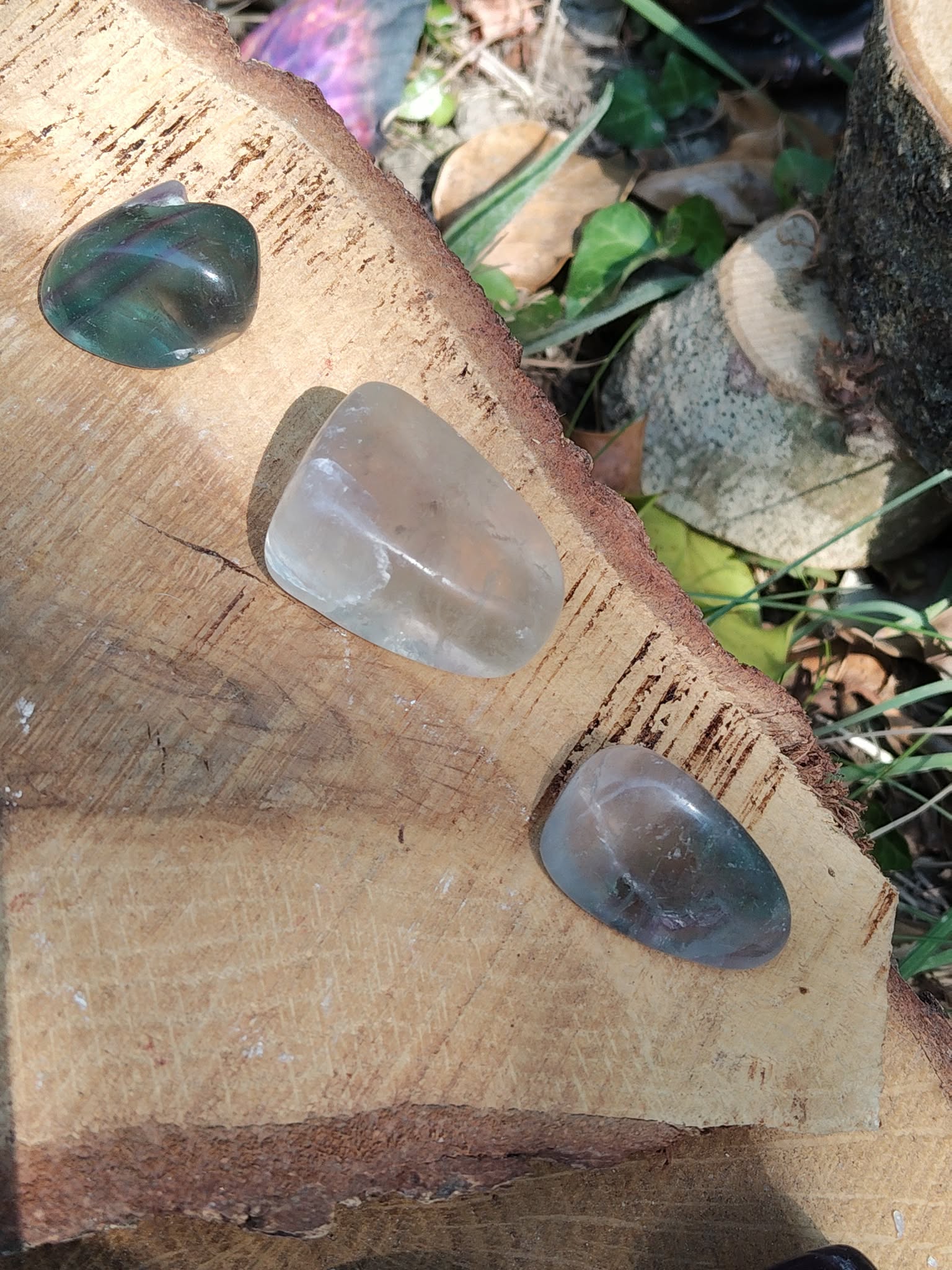 Lot de 3 pierres roulées Fluorite multicolore, nuances bleu-vert et violet, clarté mentale et apaisement, mise en scène sur tranche de bois en décor naturel.