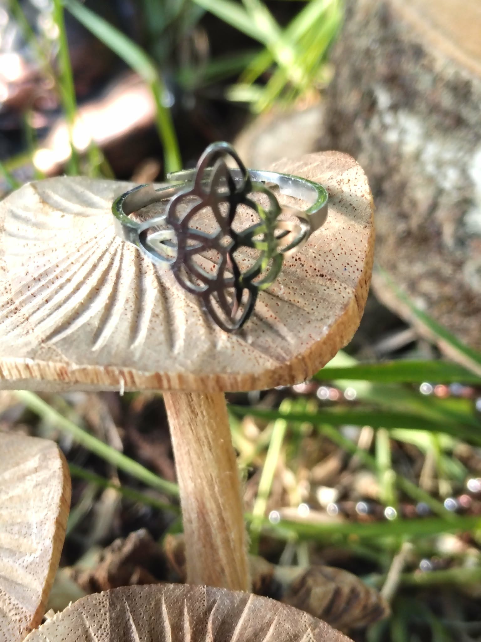 Bague ajustable motif nœud de sorcière, finition argentée, mise en scène sur champignon et herbes, ambiance nature; symbole d’union et d’équilibre.