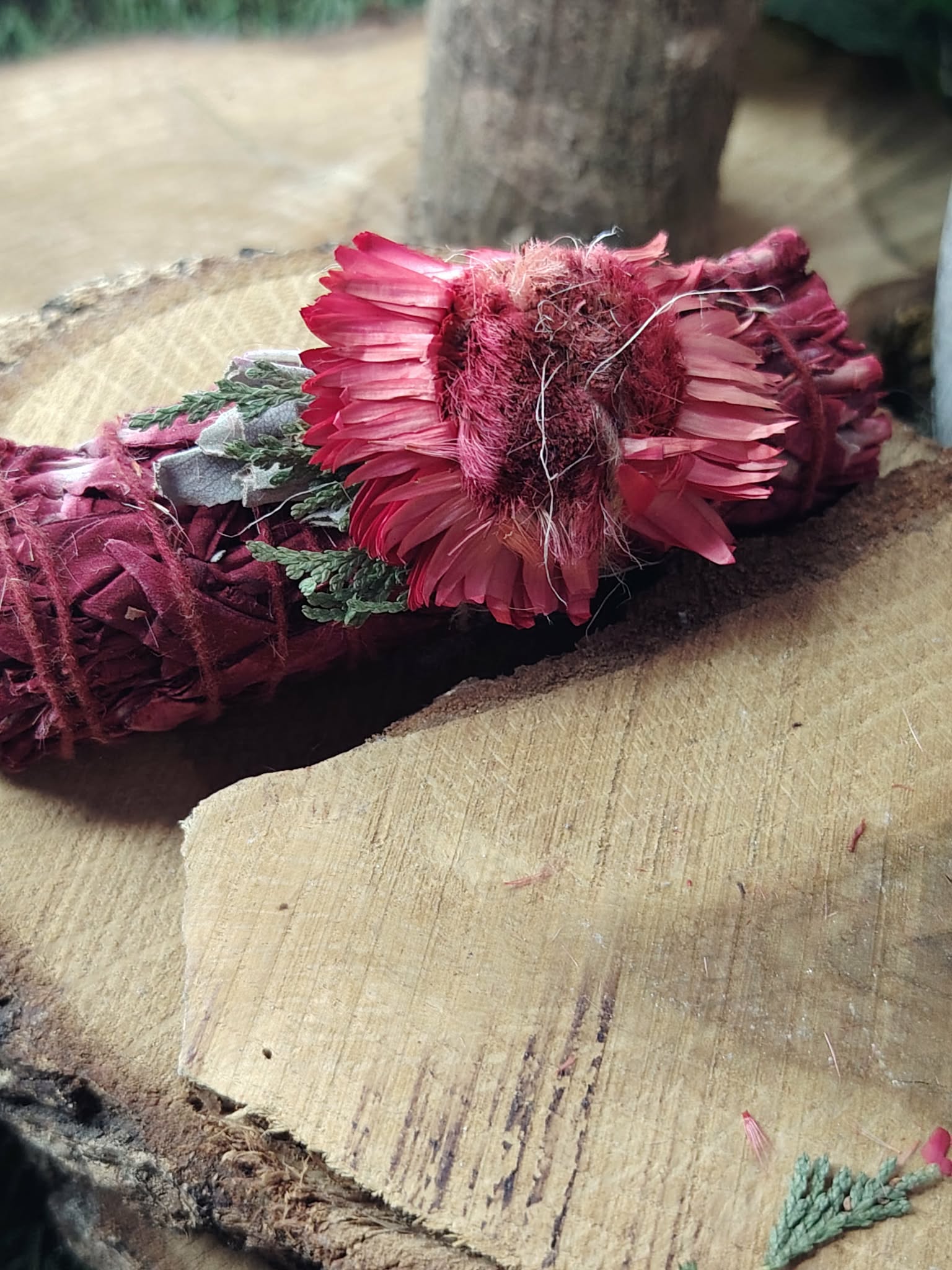 Bâton de fumigation sauge blanche “sang de dragon”, fleurs séchées roses et feuillage, posé sur rondin de bois clair; pour purifier l’ambiance et poser une intention de protection.