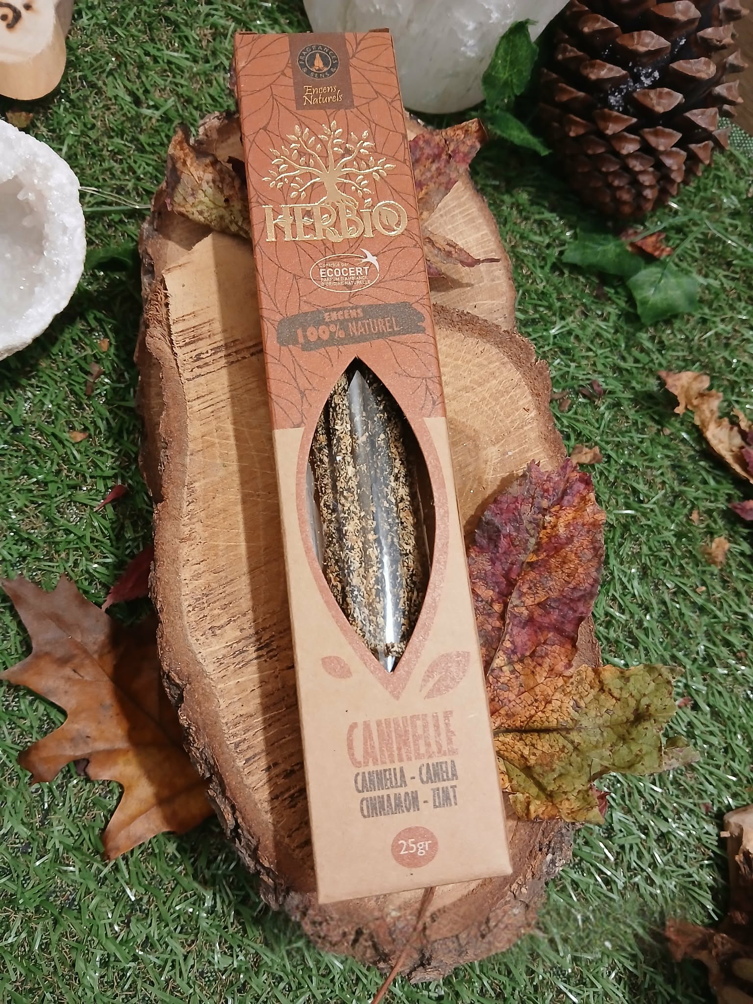 Encens HERBIO Cannelle 25 g en étui kraft avec fenêtre, posé sur rondin de bois sur herbe avec feuilles et pomme de pin; parfum épicé, ambiance cosy et réconfortante.
