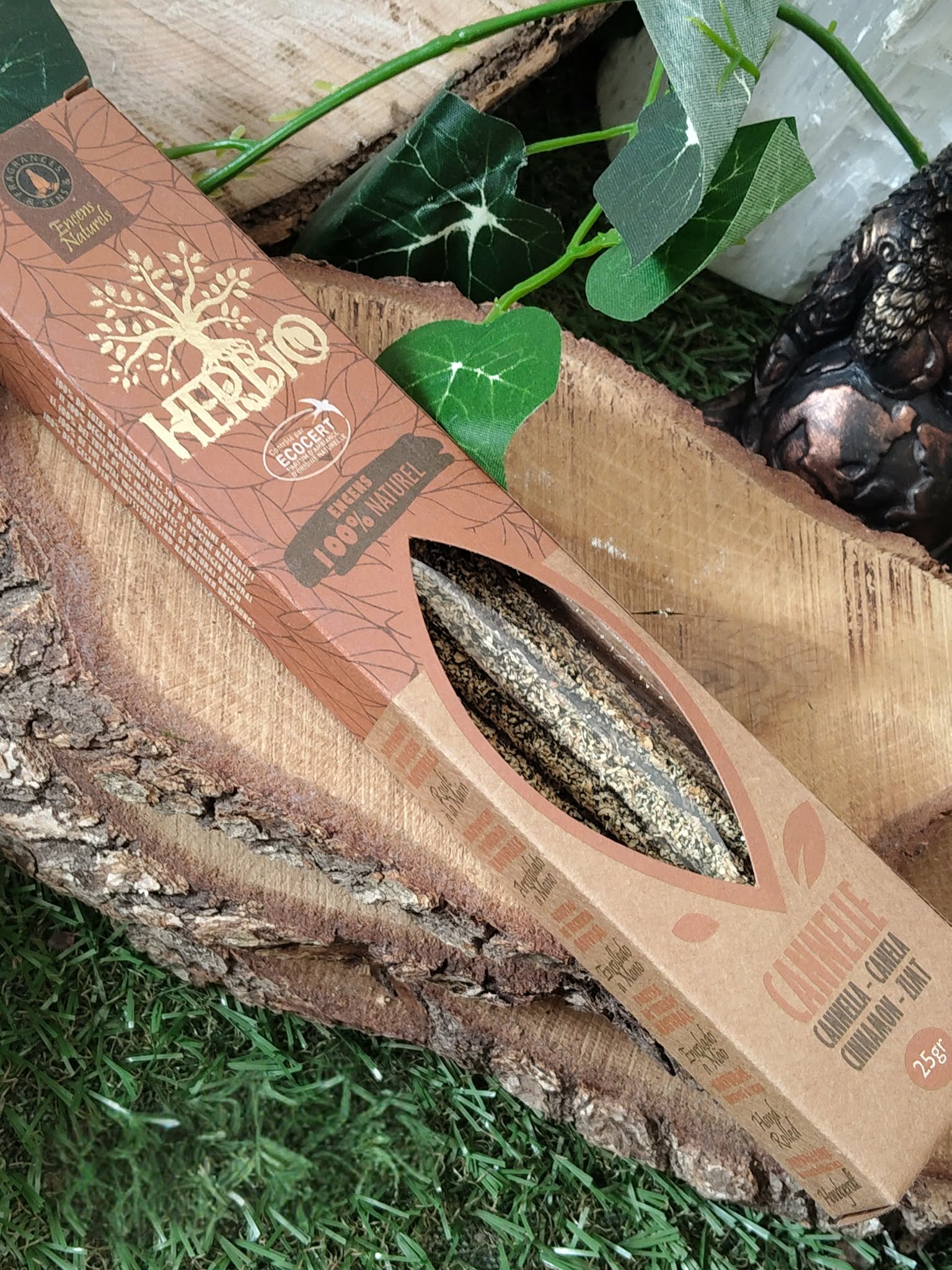 Encens HERBIO Cannelle 25 g en étui kraft couché sur rondin de bois, décor végétal (mousse, feuilles vertes); senteur épicée, atmosphère chaleureuse et relaxante.