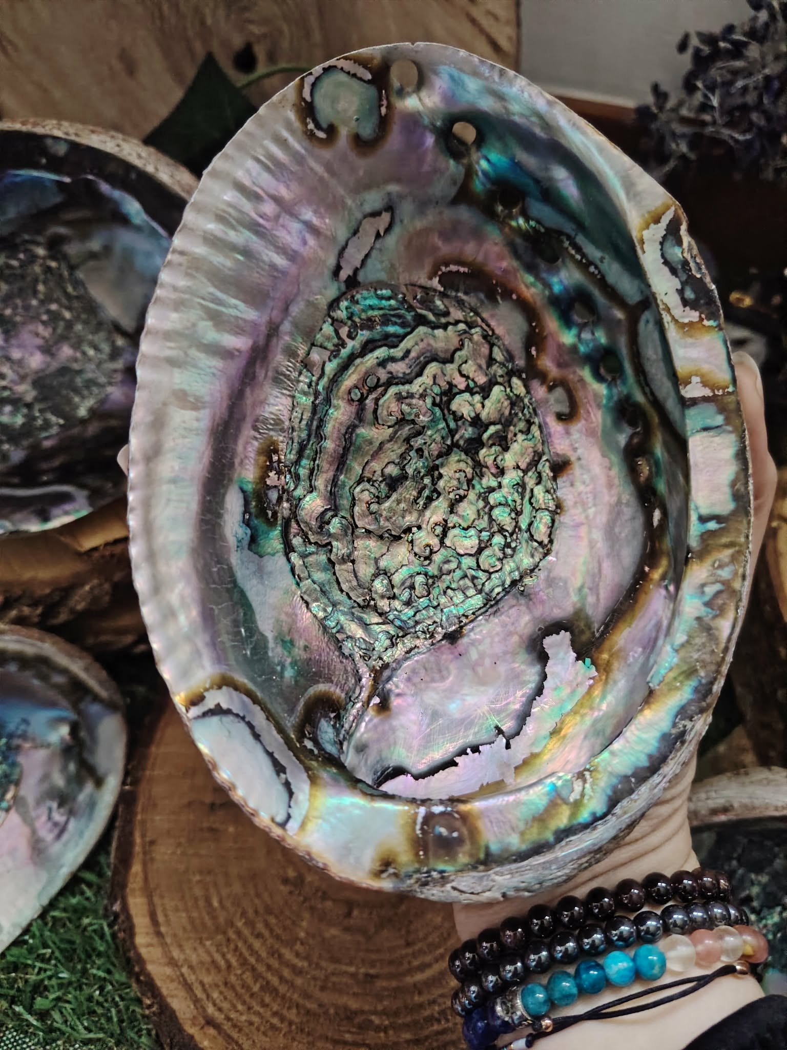 Coquille d’ormeau nacrée bleu-vert/violet, posée sur support en bois avec autres coquilles en décor; support encens/fumigation, évoque purification, protection et apaisement.