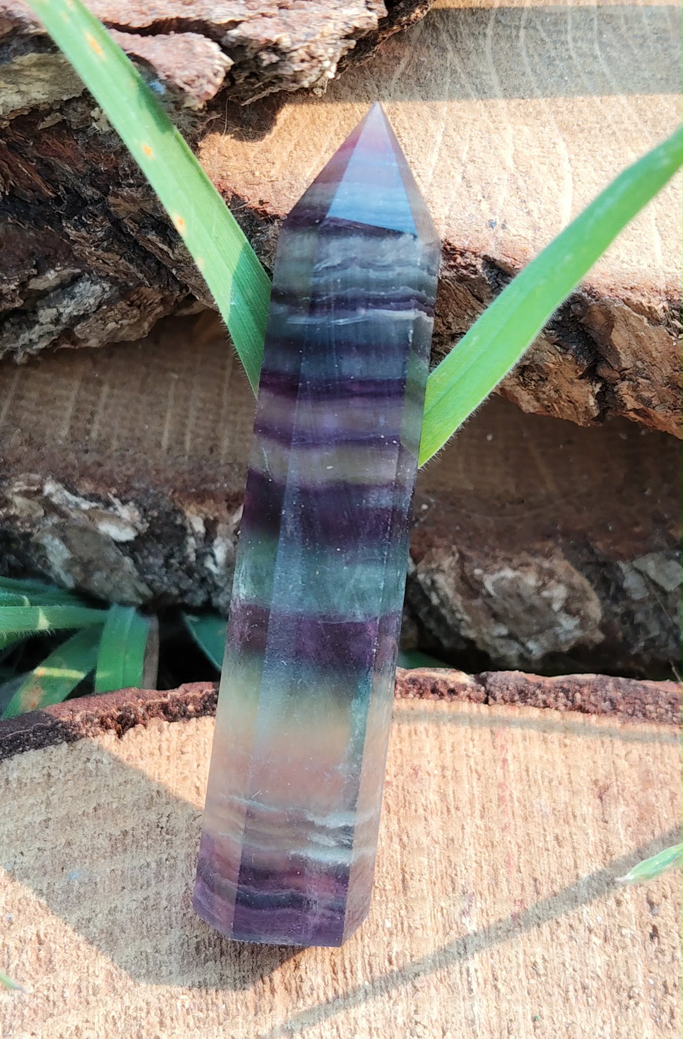 Pointe de fluorite à bandes bleu, vert et violet posée sur bois avec feuillage en décor, pierre naturelle évoquant la finesse d’esprit, la présence à soi et le calme du mental.