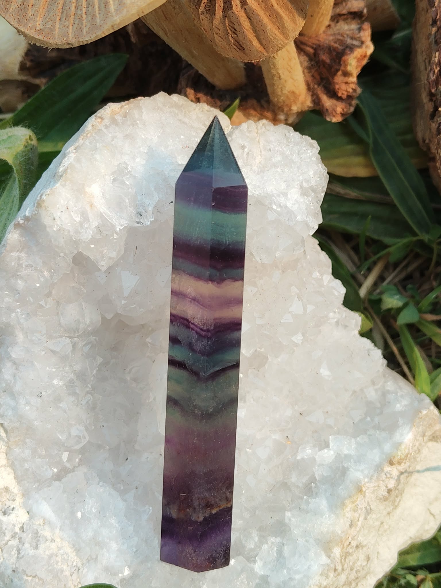 Pointe de fluorite à bandes vert, violet et bleu posée sur plaque de sélénite avec décor naturel, pierre naturelle associée à la fraîcheur intérieure, au relâchement et à la paix émotionnelle.