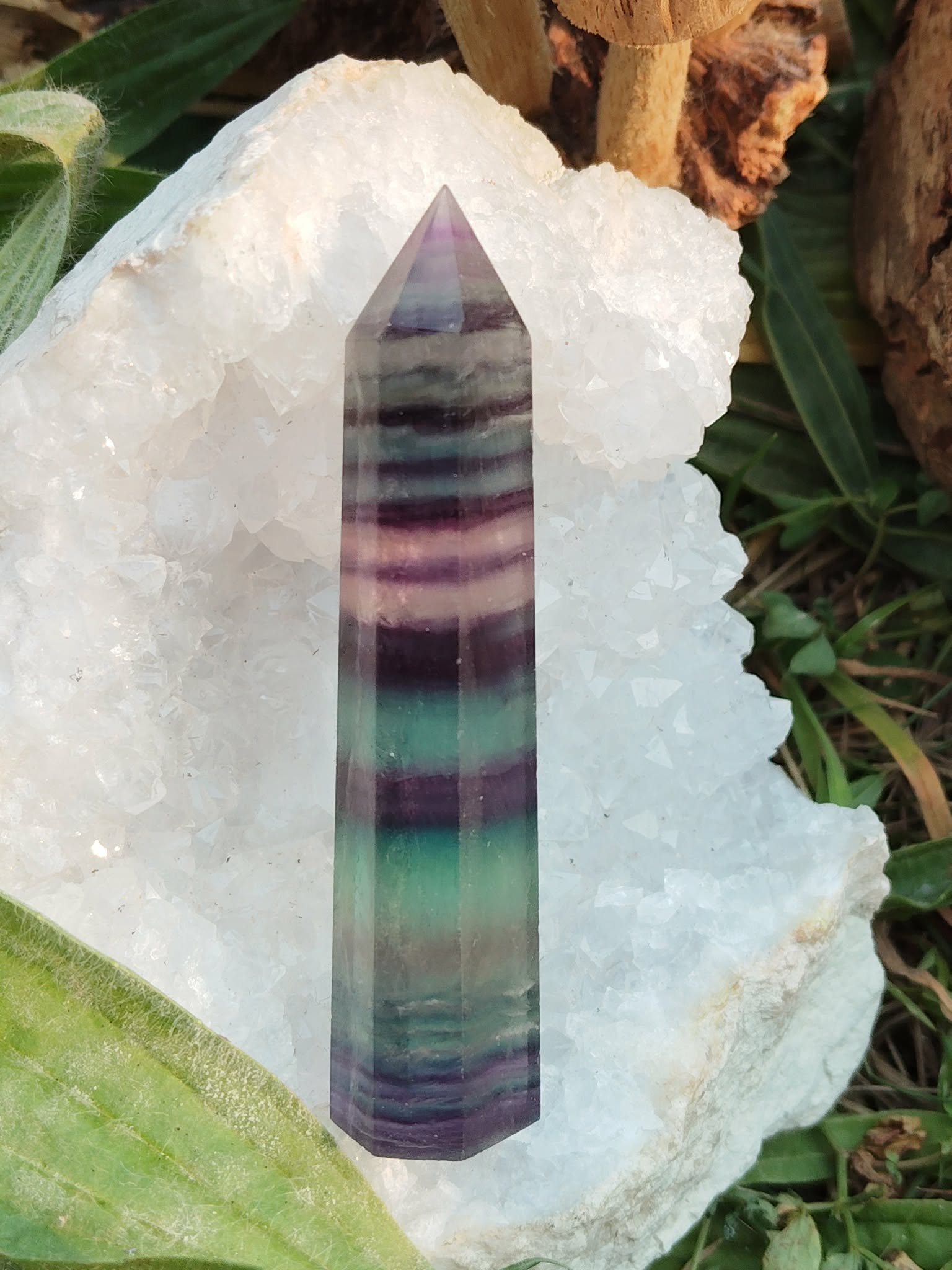 Pointe de fluorite multicolore à bandes vertes, violettes et rosées, présentée sur plaque de sélénite avec feuillage, pierre naturelle évoquant le recentrage, la douceur émotionnelle et l’alignement intérieur.