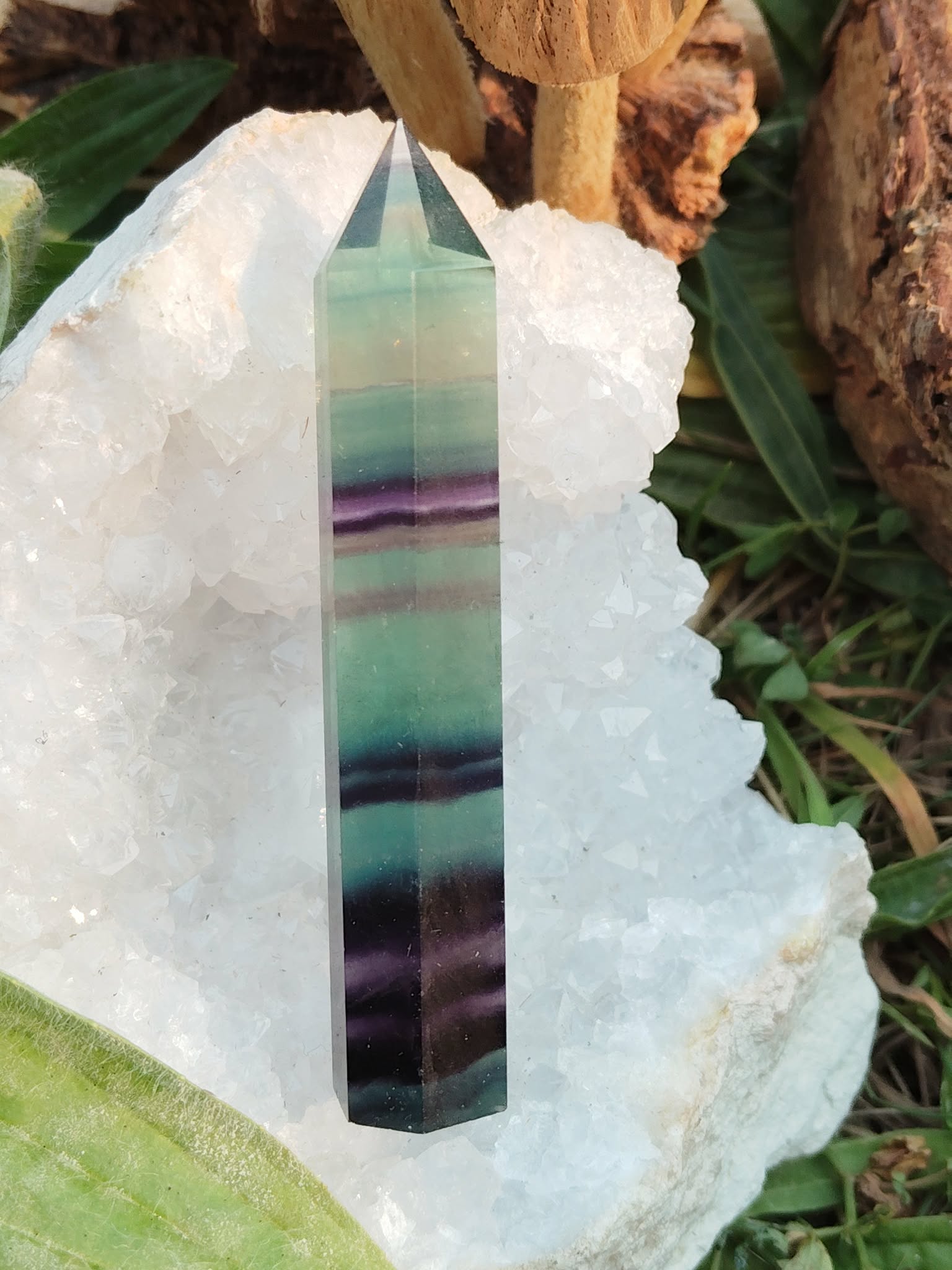 Pointe de fluorite à bandes vert et violet posée sur plaque de sélénite avec décor végétal, pierre naturelle reliée au discernement, à la tranquillité et à l’équilibre intérieur.