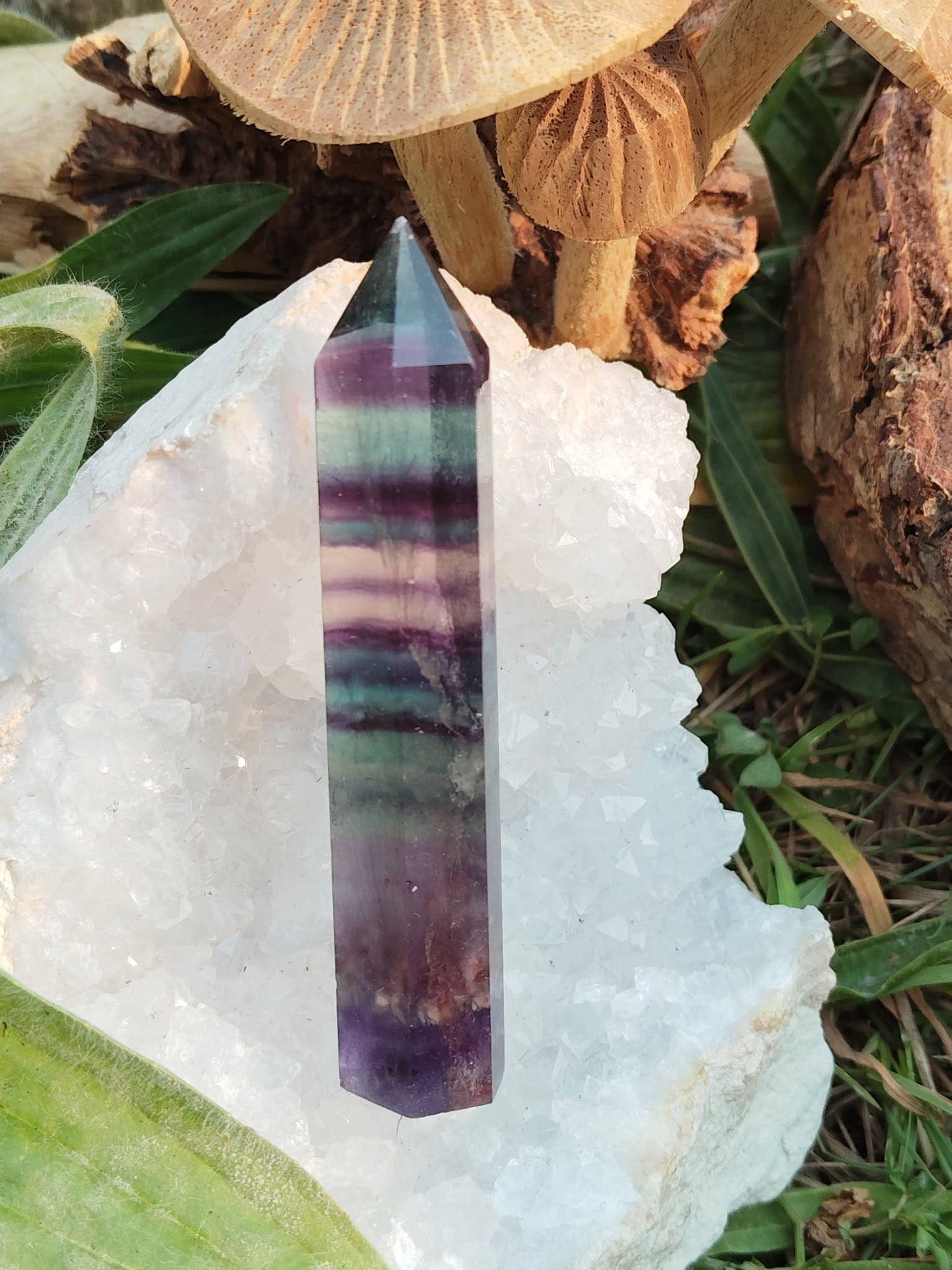Pointe de fluorite à bandes bleues, violettes et vertes sur un amas de quartz avec décor végétal et bois, pierre naturelle liée à la concentration paisible, à l’ancrage mental et à l’harmonie.