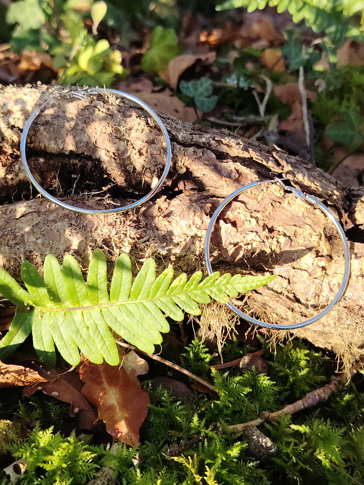 Grandes créoles argentées en acier inoxydable, anneaux fins et légers, photographiées en Bretagne sur un décor de forêt (mousse, feuilles et bois); évoquent connexion à la nature, légèreté et élégance au quotidien
