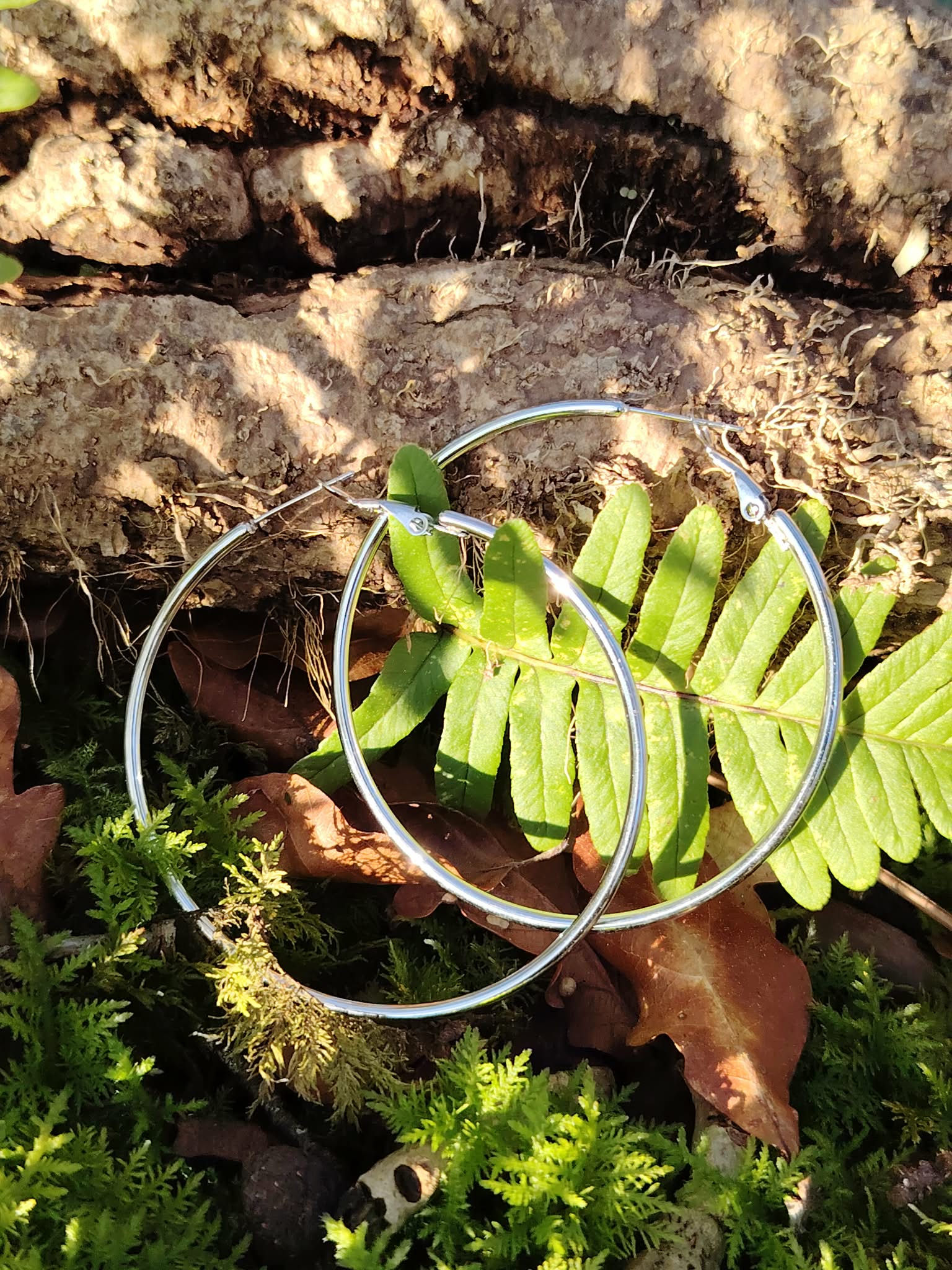 Grandes créoles argentées en acier inoxydable, anneaux fins et légers, photographiées en Bretagne sur un décor de forêt (mousse, feuilles et bois); évoquent légèreté et élégance naturelle.