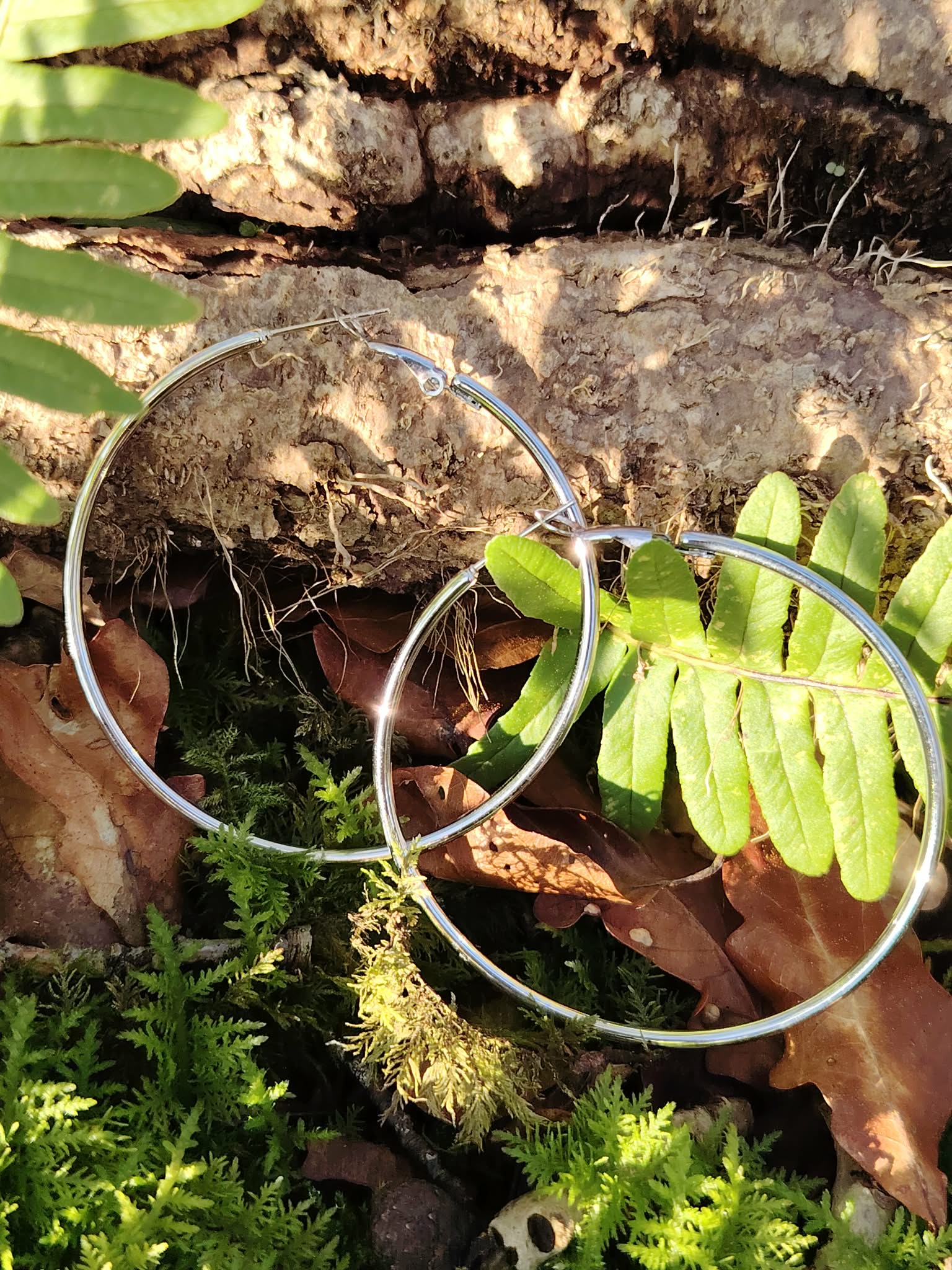 Grandes créoles argentées en acier inoxydable, anneaux fins et légers, photographiées en Bretagne sur un décor de forêt (mousse, feuilles et bois); évoquent élégance simple et légèreté