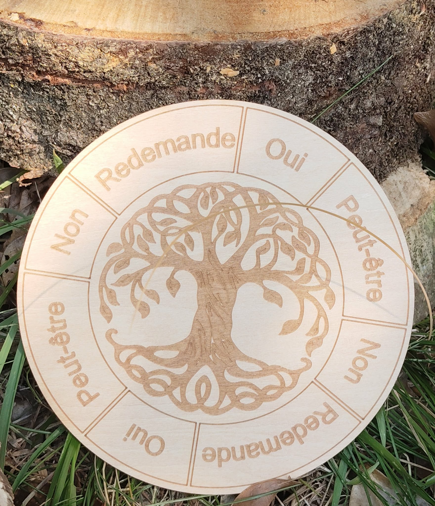Plaque ronde en bois clair gravée Arbre de Vie au centre et roue du zodiaque autour, posée sur l’herbe dans un décor nature.