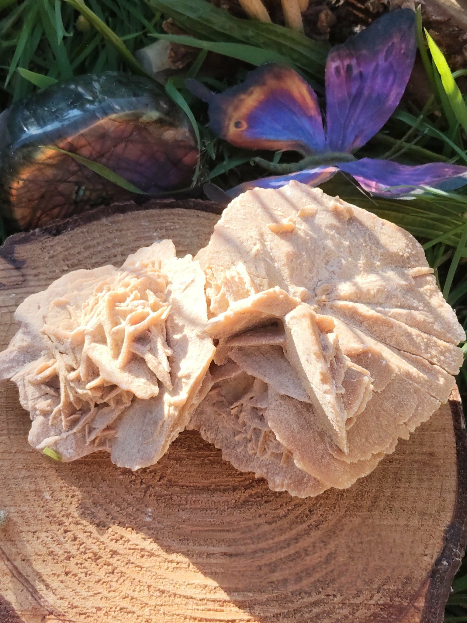 Rose des sables beige (gypse) sur rondin de bois, décor végétal avec pierre irisée et papillon violet en arrière-plan; symbolique : ancrage, harmonie, clarté.