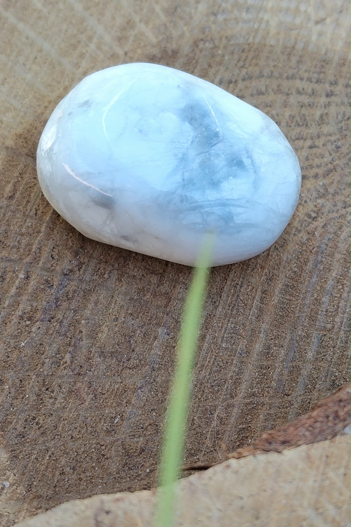 Pierre roulée howlite blanche et grise polie sur support en bois avec brin d’herbe au premier plan, pierre naturelle liée à la paix intérieure, à la parole fluide et à la clarté d’esprit.
