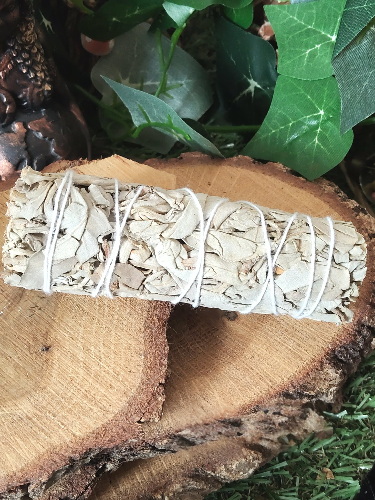 Bâton de sauge blanche à brûler (fumigation/smudge) ficelé, posé sur rondin de bois avec feuillage vert et décor naturel. Accessoire pour rituel, méditation, purification énergétique, nettoyage des lieux, protection, clarté et apaisement.
