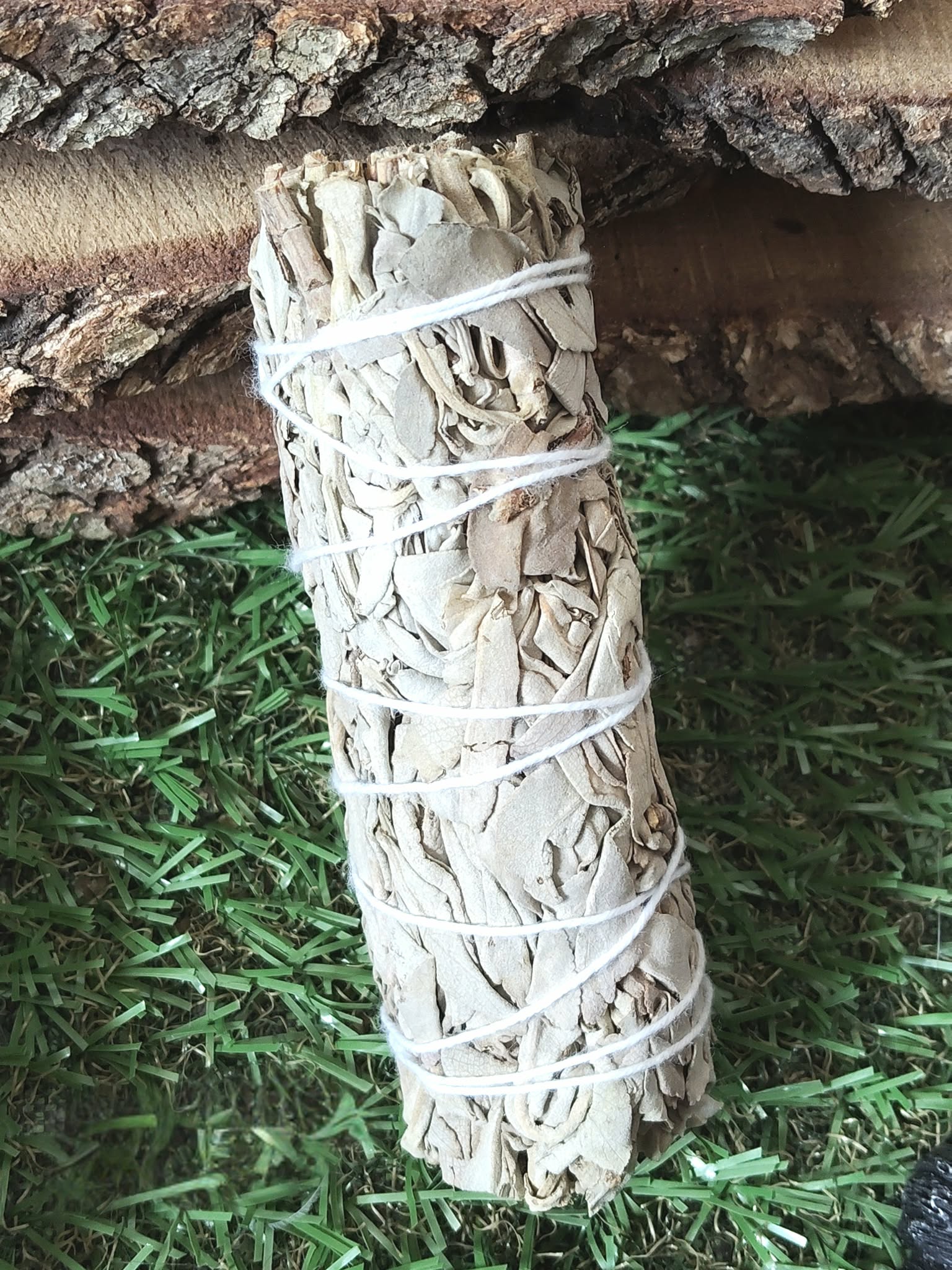 Bâton de sauge blanche à brûler (fumigation/smudge) ficelé, présenté debout sur feuillage vert avec décor de bois. Accessoire pour rituel, méditation, purification énergétique, nettoyage des lieux, protection, clarté et apaisement.