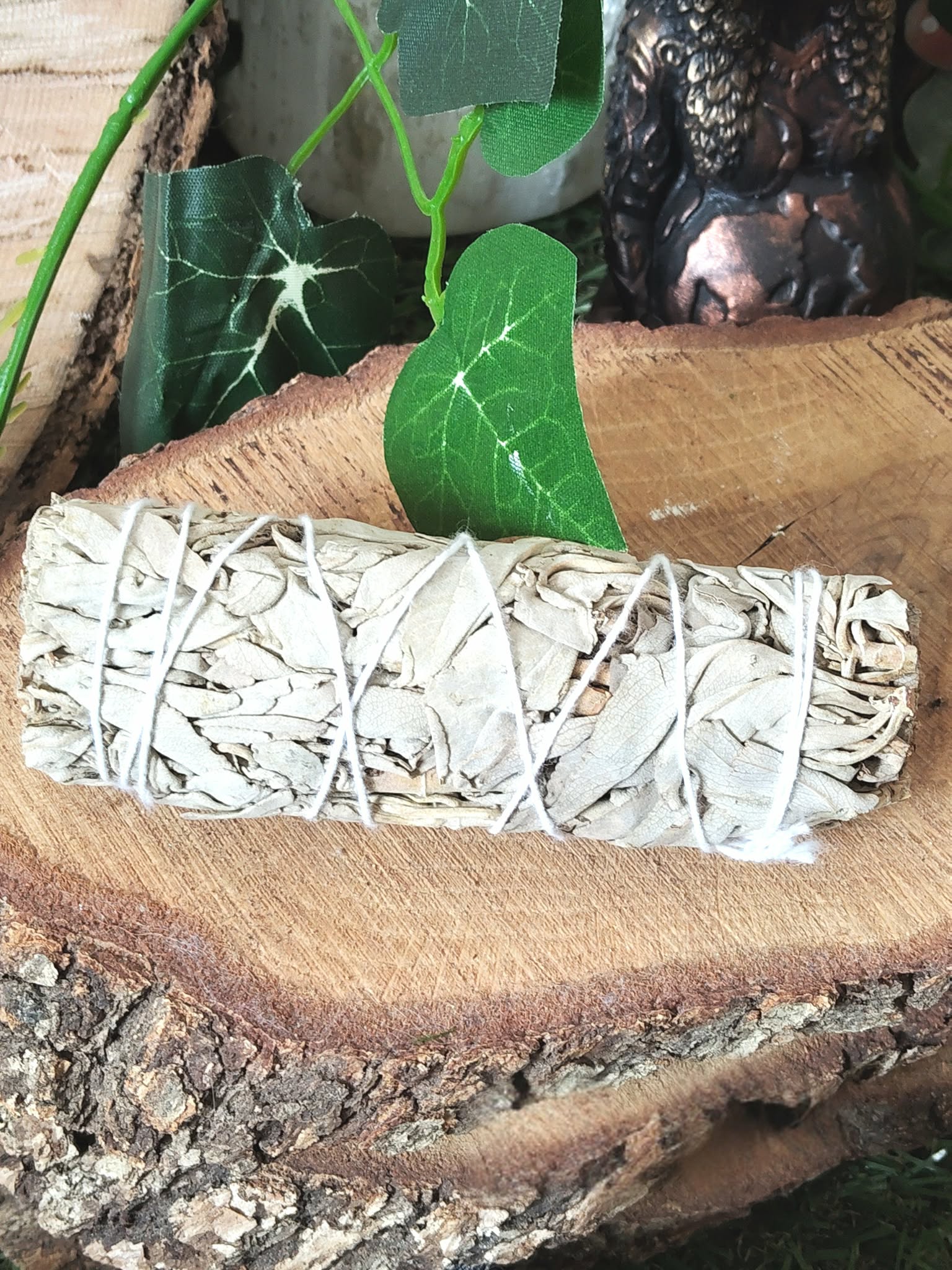 Bâton de sauge blanche à brûler (fumigation/smudge) ficelé, posé sur rondin de bois, feuilles vertes et décor ésotérique. Pour rituel, méditation, purification énergétique, nettoyage des lieux, protection, clarté, apaisement.
