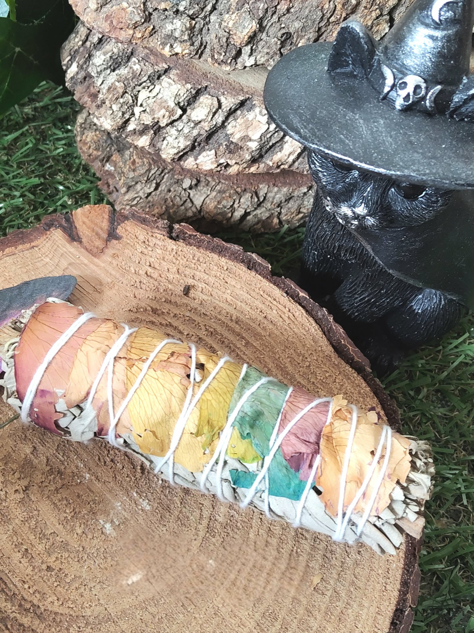 Bâton de sauge 7 chakras à brûler (fumigation/smudge), décoré de pétales multicolores, ficelé, posé sur rondin de bois avec pomme de pin, chaudron noir et feuillage. Pour purification énergétique, protection, clarté et apaisement.