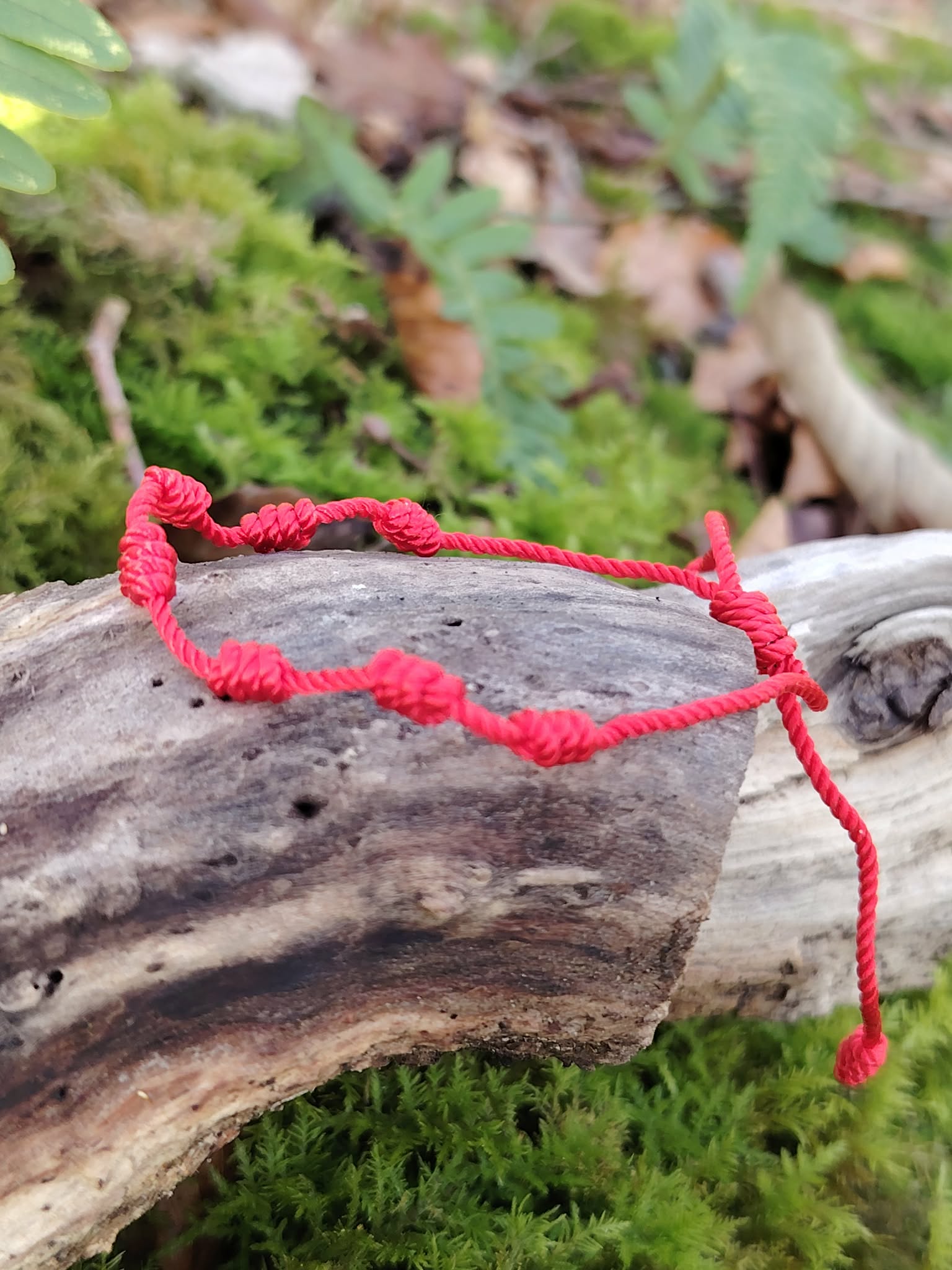 Bracelet rouge 7 nœuds réglable sur tronc moussu, bracelet porte-bonheur pour force intérieure et ancrage