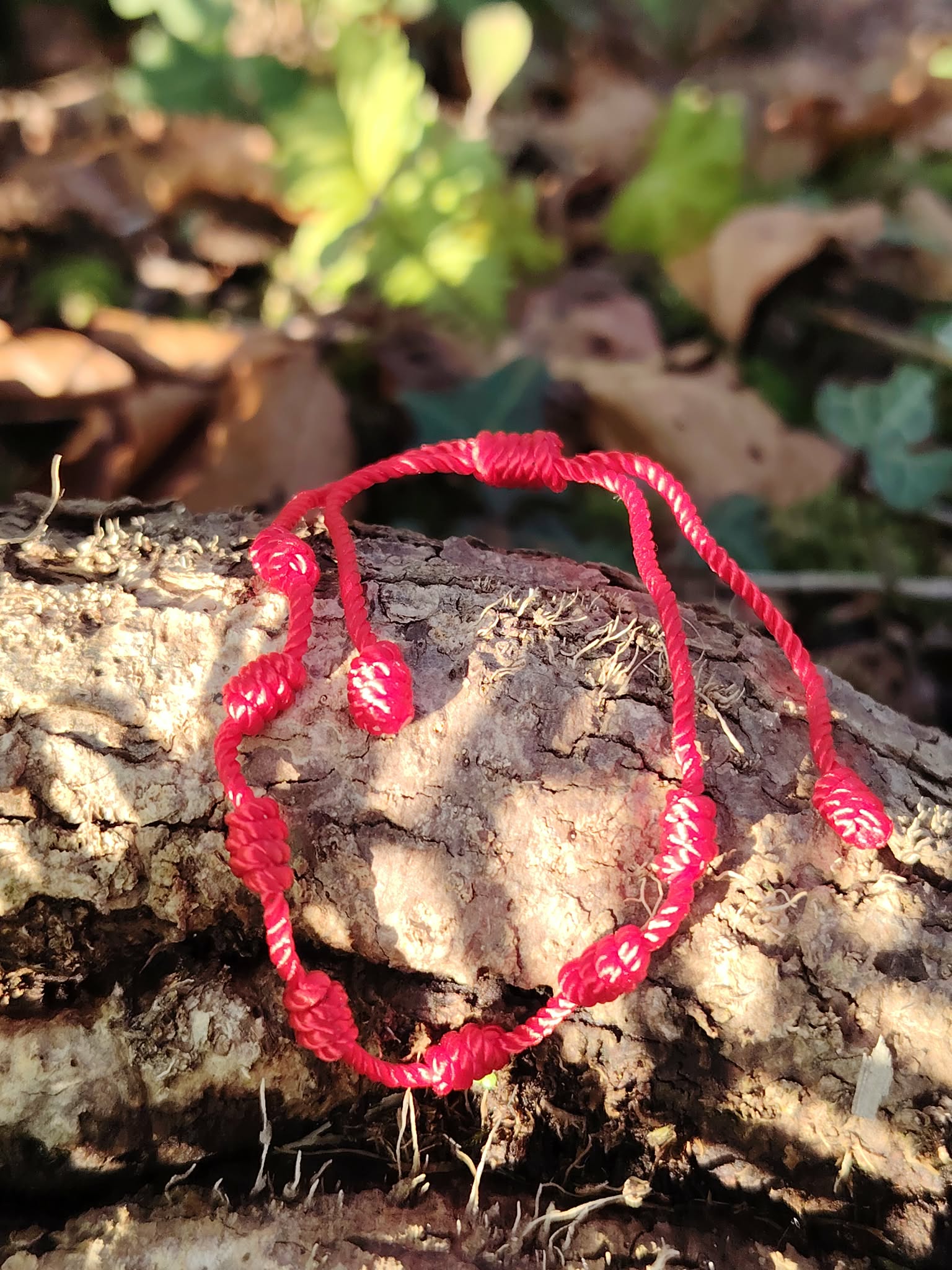 Bracelet rouge 7 nœuds sur bois brut et feuillage, cordon d’intention pour courage, centrage et stabilité
