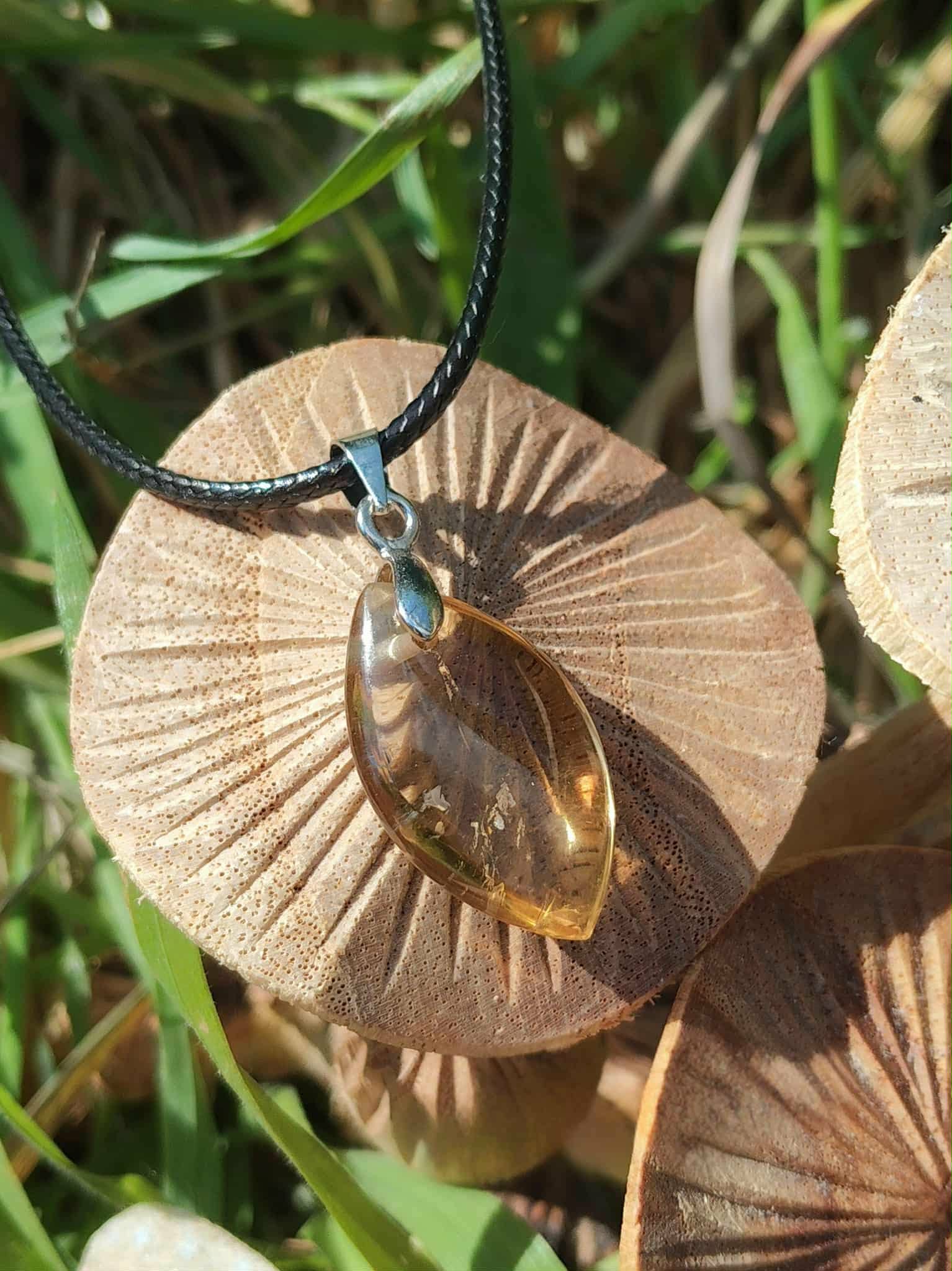 Pendentif citrine sur cordon noir, posé en décor naturel avec champignons et feuillage, pierre naturelle associée à l’élan positif, à la vitalité et à la chaleur intérieure.