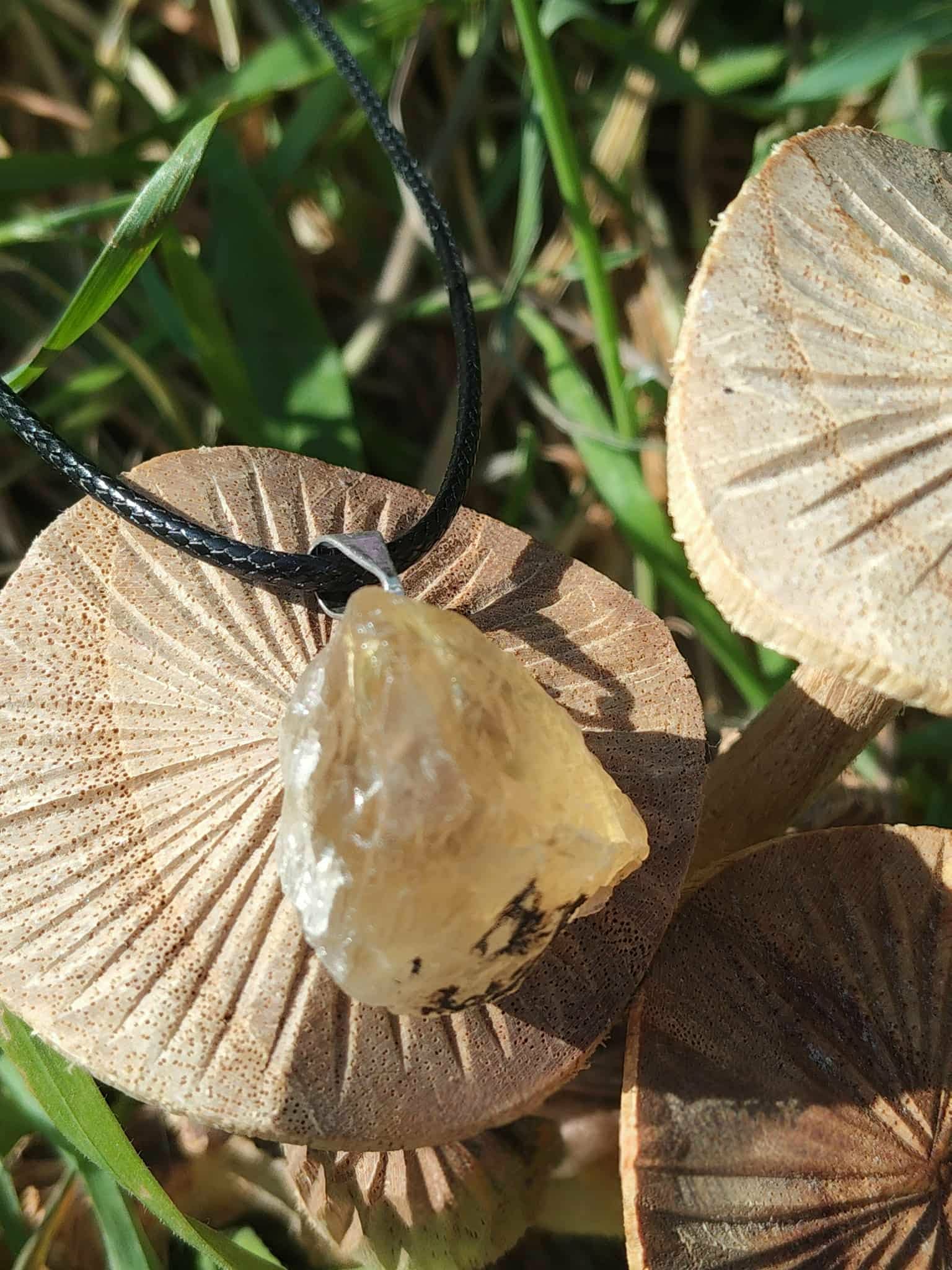 Pendentif citrine brute sur cordon noir, photo en décor naturel avec champignons et herbes, pierre naturelle évoquant l’optimisme, l’enthousiasme et la lumière intérieure.