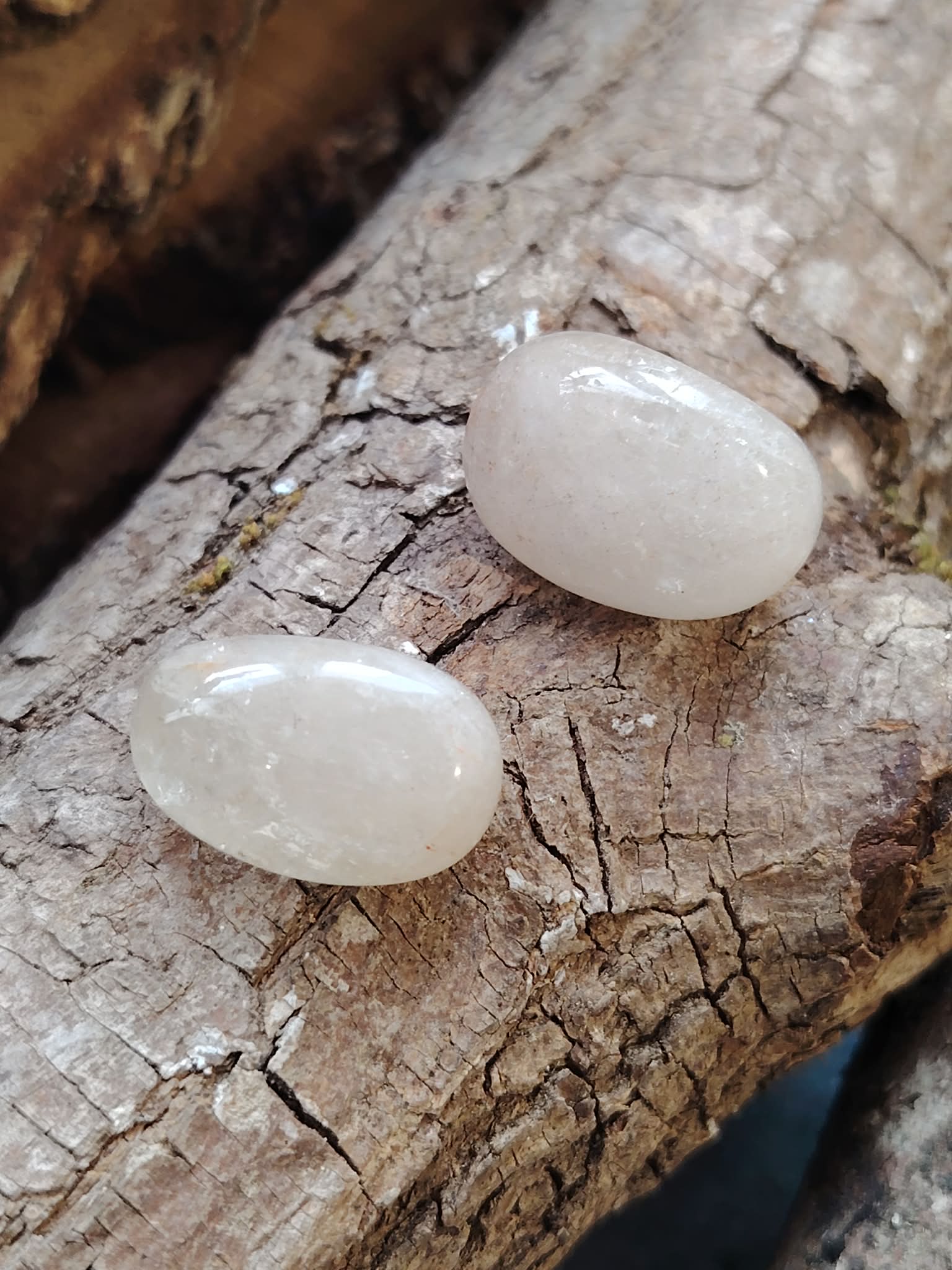 Deux citrines roulées (pierres polies) sur écorce texturée, ambiance nature, teinte jaune très pâle, énergie lumineuse, bonne humeur, confiance en soi, motivation, clarté mentale, abondance,