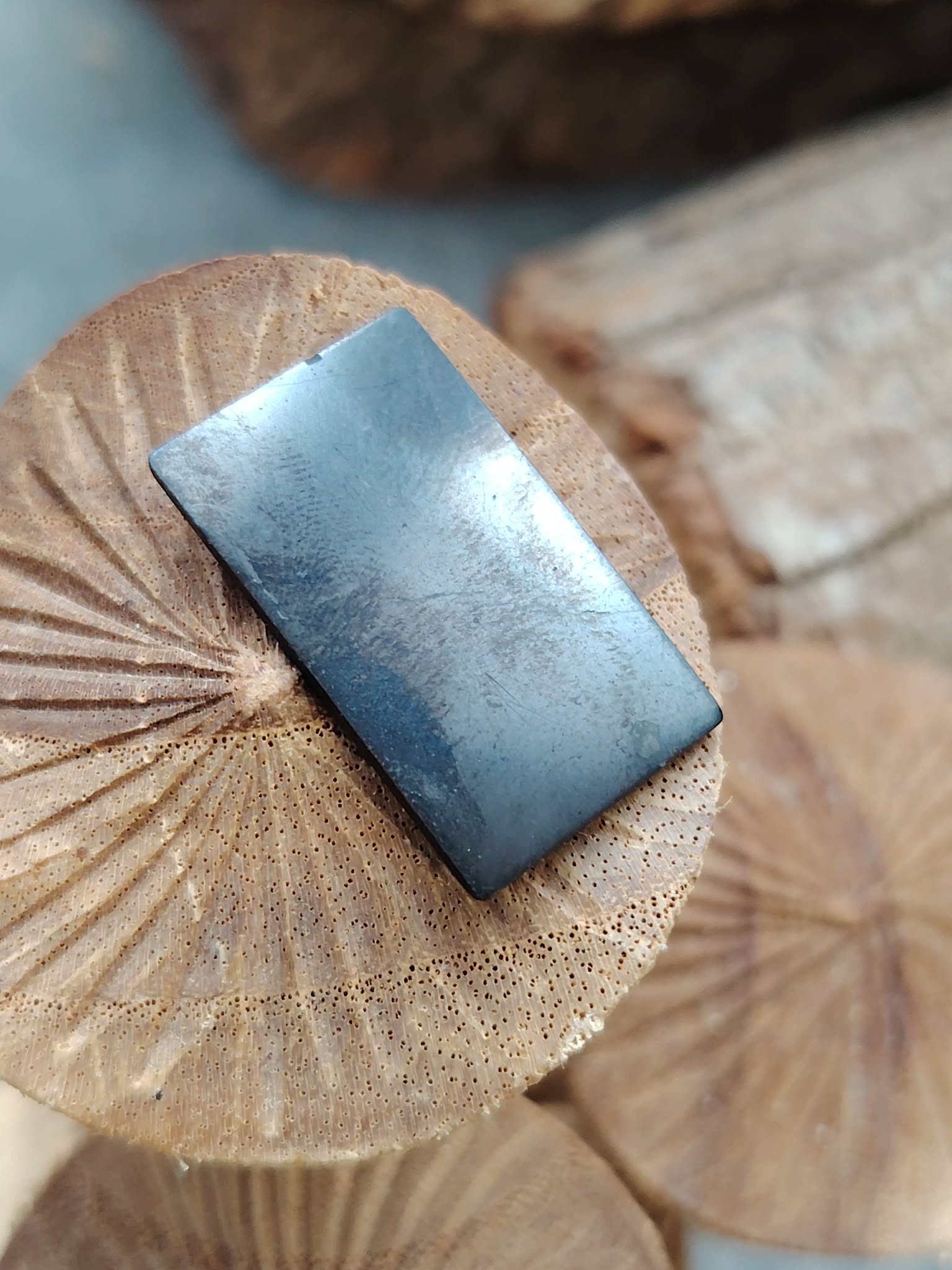 Plaque de shungite adhésive pour téléphone (anti-ondes) posée sur champignon décoratif naturel, photo produit Magic Gaïa, vertus variées : protection énergétique, ancrage, apaisement, recentrage.