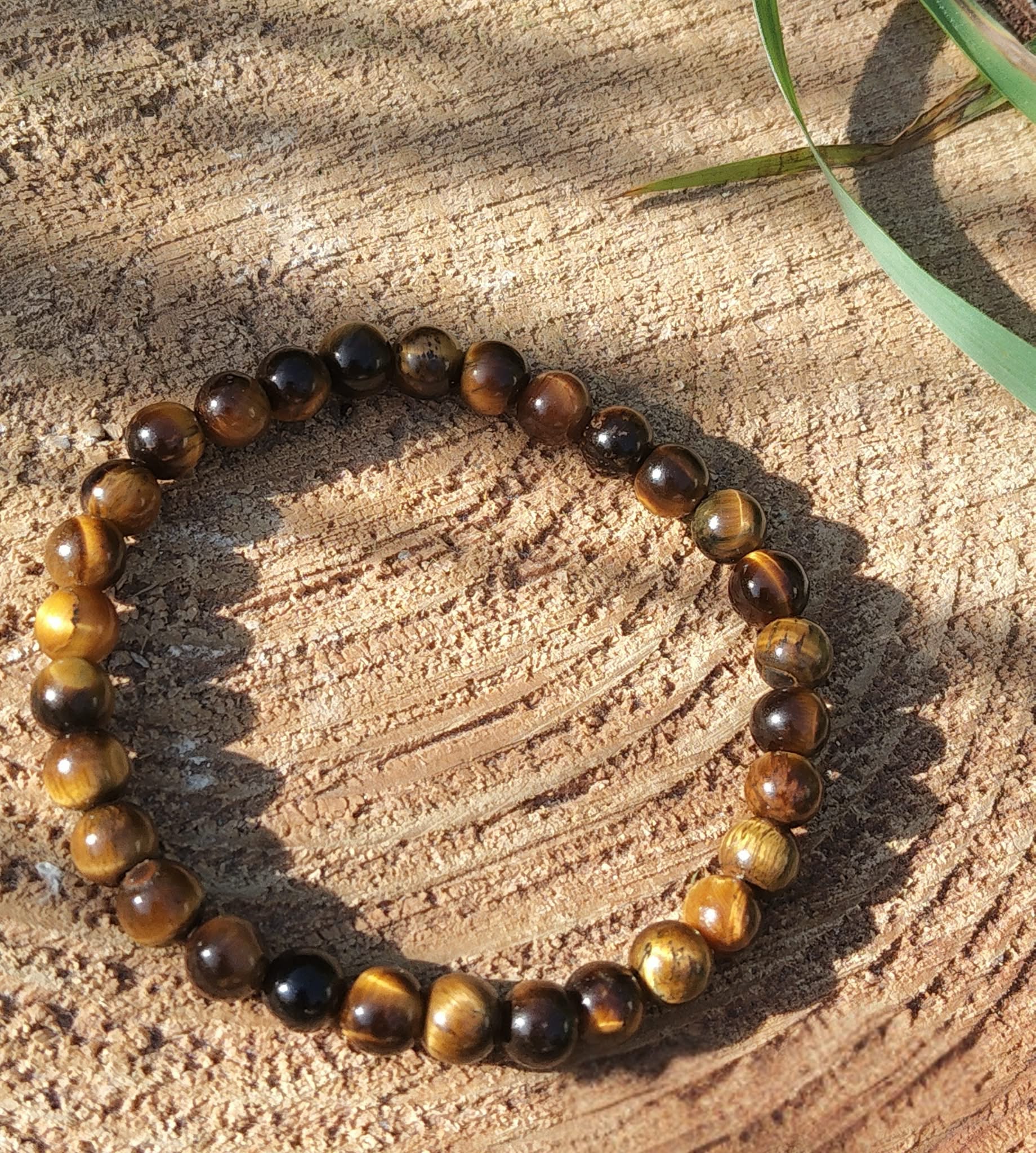Bracelet Œil de Tigre 6 mm sur élastique, perles doré-brun, rondin de bois et végétation, volonté et concentration.
