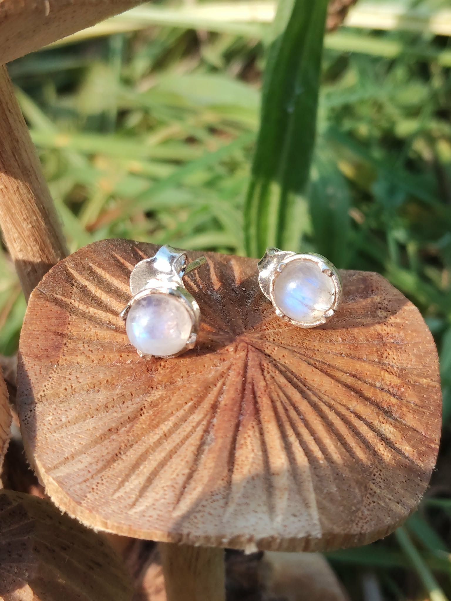 Boucles d’oreilles en argent 925 avec péristérite nacrée, posées sur un champignon en bois sculpté, fond de feuillage vert flouté, pour douceur, intuition et apaisement