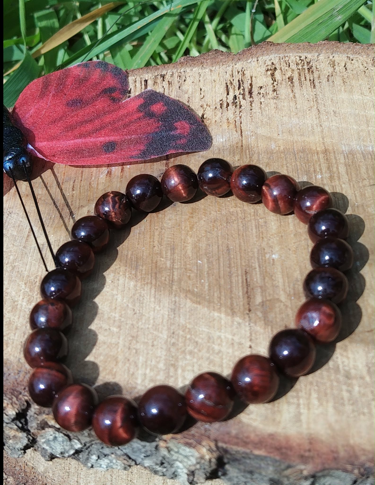 Bracelet œil de taureau 8 mm en cercle sur tranche de bois avec herbes et papillon rouge, perles brun acajou et noir pour ancrage, courage et vitalité stable