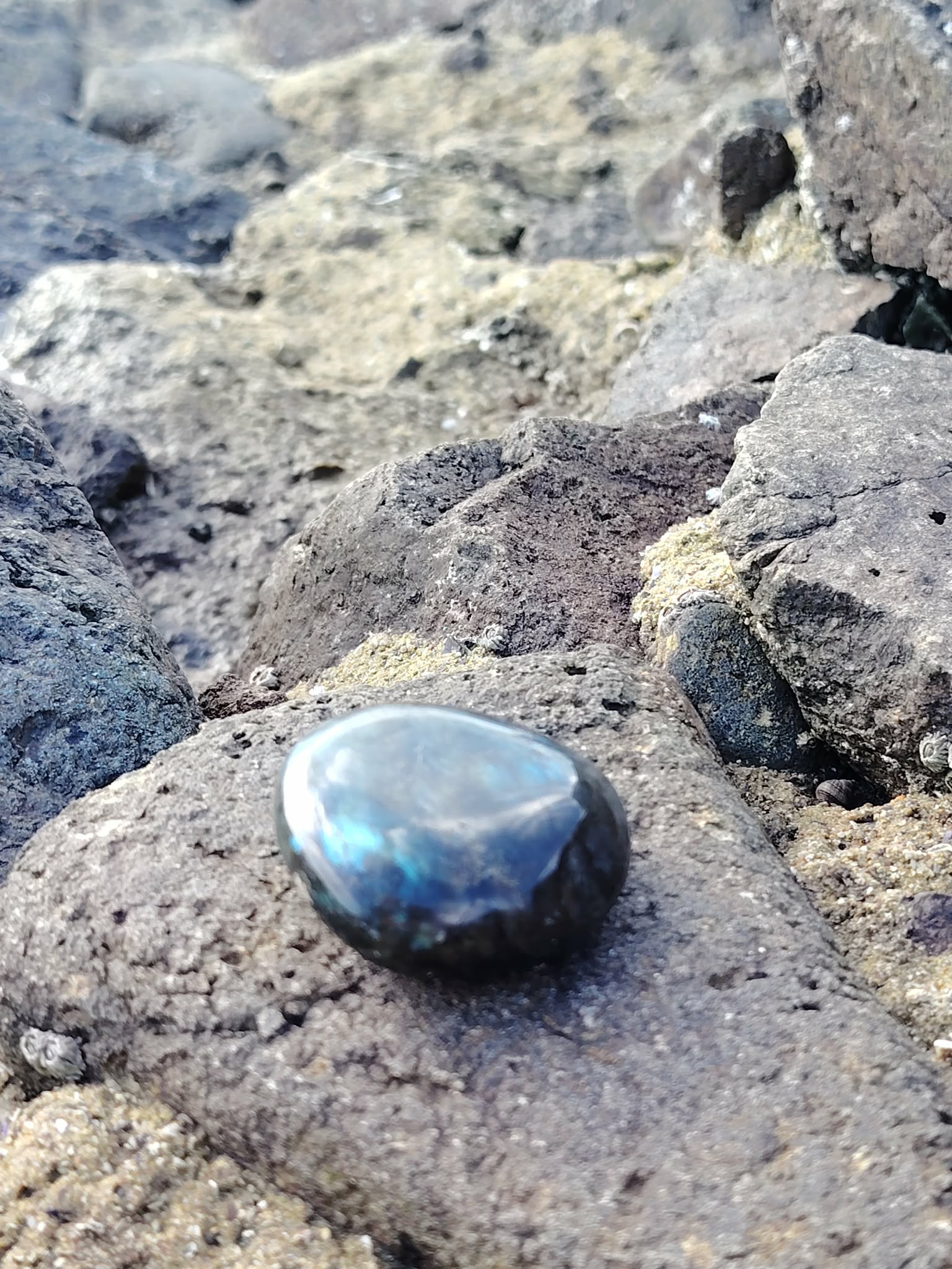 Galet de labradorite aux reflets bleus posé sur rochers bretons près de l’eau, pierre naturelle liée à la tranquillité, au discernement et à l’enracinement intérieur.
