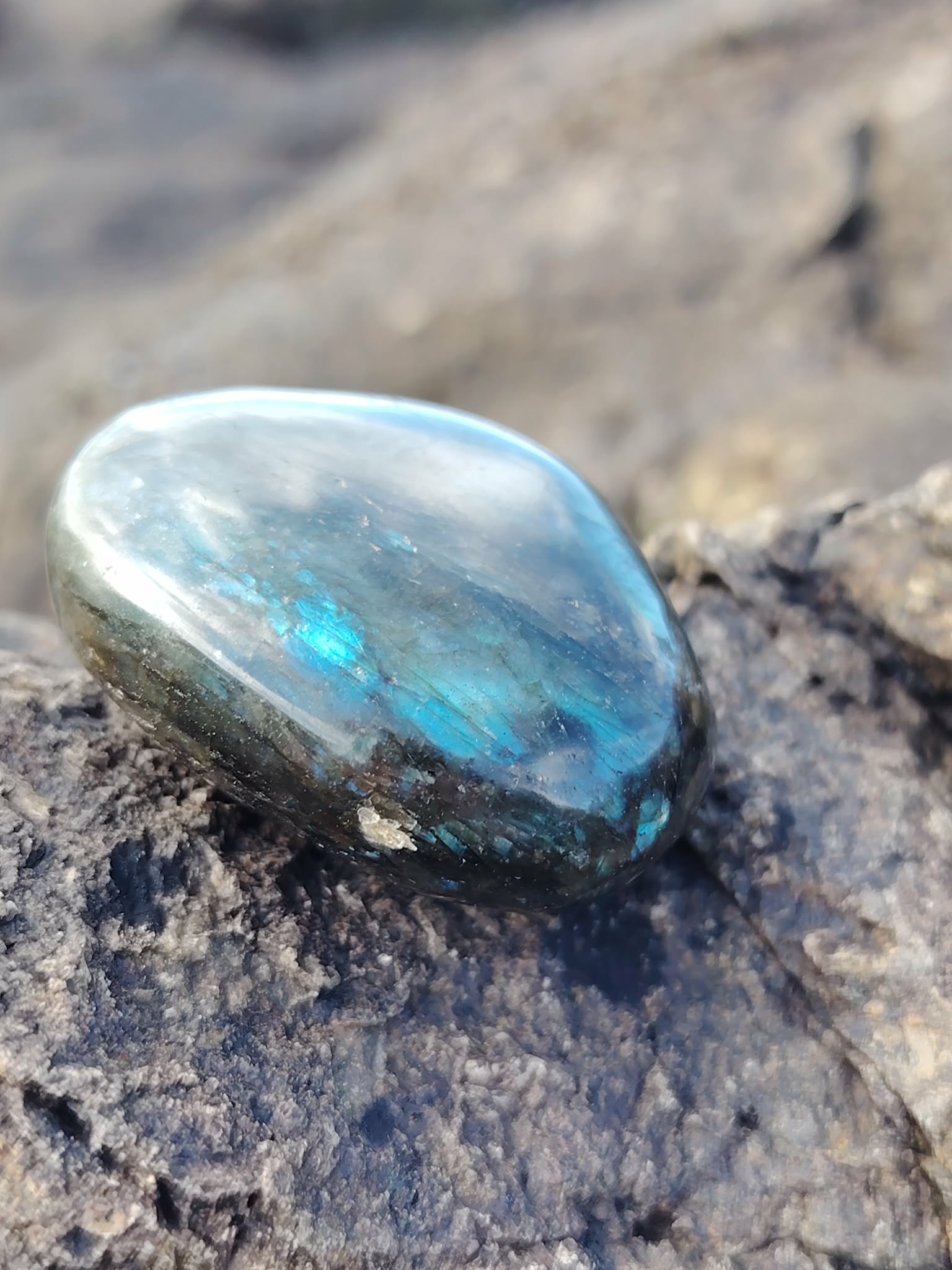 Galet de labradorite aux reflets bleu lagon posé sur rocher humide en Bretagne, pierre naturelle évoquant le recentrage, la fluidité intérieure et l’équilibre émotionnel.