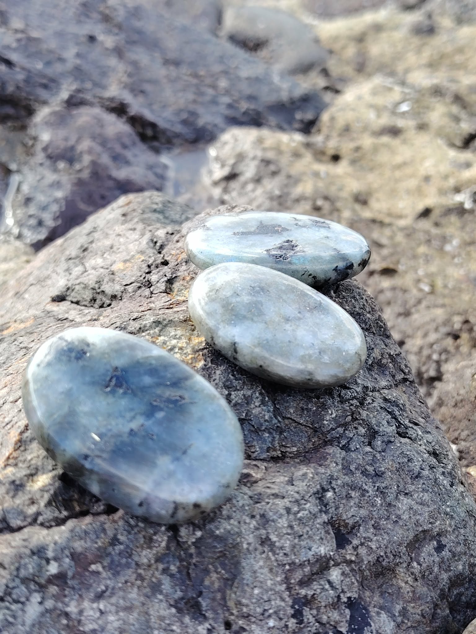 Trio de galets de labradorite grise aux lueurs bleues posés sur rochers bretons, pierres naturelles liées au discernement, au recentrage et à la stabilité émotionnelle.