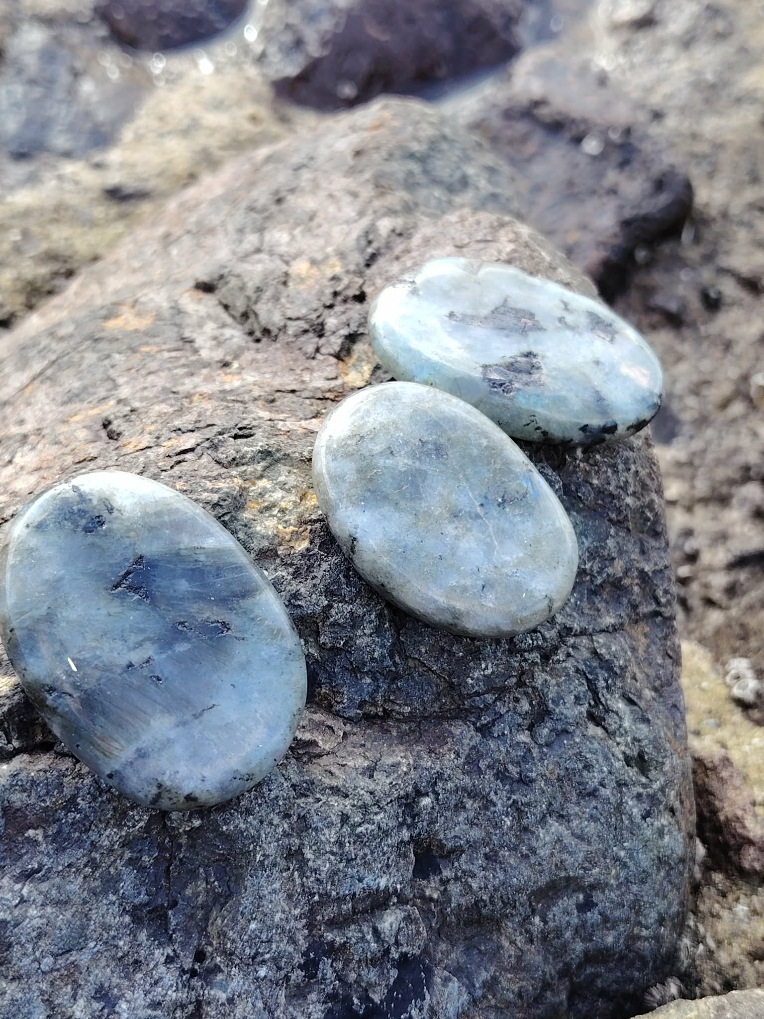 Trois galets de labradorite grise aux reflets bleus posés sur rochers bretons, pierres naturelles associées au calme du mental, à la présence à soi et à la protection douce.