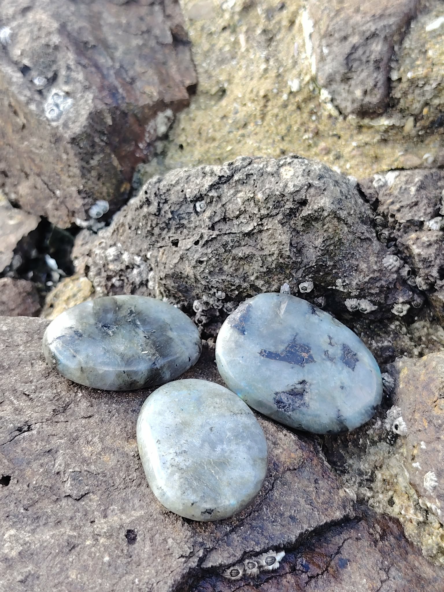 Trio de galets de labradorite grise aux lueurs bleues posés sur rochers bretons, pour se protéger en douceur, calmer le mental et rester centré.