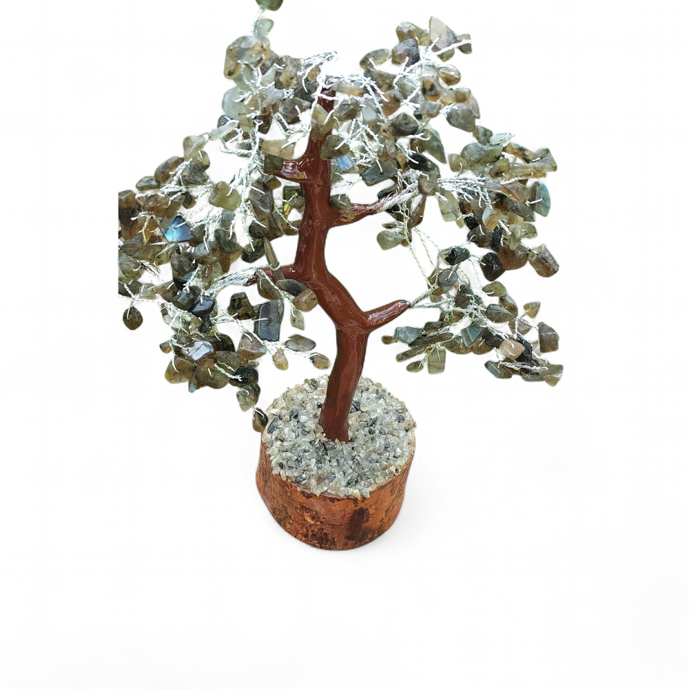 ARBRES EN PIERRES 