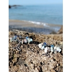 Boucles d’oreilles Magic Gaïa en larimar et aqua aura posées sur un rocher breton face à la mer bleue, avec perles blanches et bleu clair, triquetra argentée, évoquant fraîcheur, sérénité et harmonie intérieure