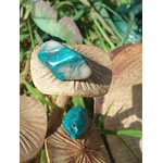 Galet de chrysocolle bleu-vert posé sur champignons en bois avec feuillage en décor forêt, pierre roulée liée à la tranquillité, à l’authenticité et à la douceur émotionnelle.