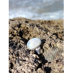 Bague réglable en argent 925 sertie d’une péristérite (pierre de lune arc-en-ciel) ovale, posée sur roche sombre en bord de mer, reflets bleutés, intention douceur et intuition.