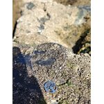 Chaîne argentée avec pendentif Arbre de Vie scintillant sur roche marine texturée, stabilité émotionnelle et confiance tranquille