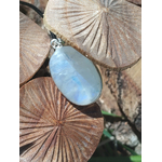 Pendentif goutte en labradorite blanche sertie argent 925 sur cordon noir, posé sur champignons en bois sculpté en extérieur, pierre naturelle évoquant la douceur, la rêverie et l’écoute de soi.