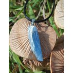 Pendentif cyanite bleue brute sur cordon noir, bélière argentée, sur champignons en bois et herbes; intention: clarté, apaisement.