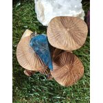Pendule en apatite bleue posé parmi des champignons beiges sur mousse verte, dans un décor naturel et féerique, photo en extérieur, évoquant intuition, apaisement émotionnel et clarté intérieure