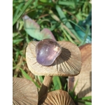 Pierre roulée d’amétrine aux reflets violets posée sur un champignon, décor végétal en arrière-plan, pierre naturelle liée à la rêverie, à la souplesse émotionnelle et à l’équilibre.