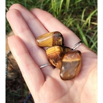 Trois pierres roulées œil de tigre aux reflets dorés reposent dans une main, pierres naturelles reliées à la volonté, au recentrage et à la confiance calme.
