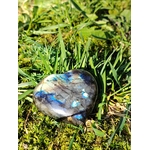 Coeur Labradorite aux reflets bleus posé dans l’herbe et la mousse en Bretagne, en pleine nature, pour protéger l’énergie, apaiser et soutenir l’intuition.